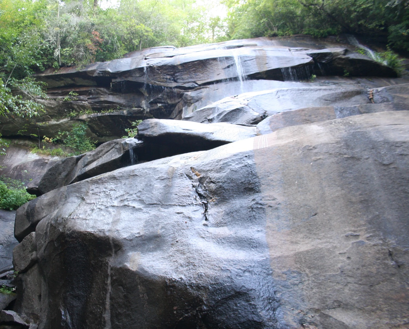A small stream of water flows over smooth, wet, dark rock shelves surrounded by dense green forest foliage.