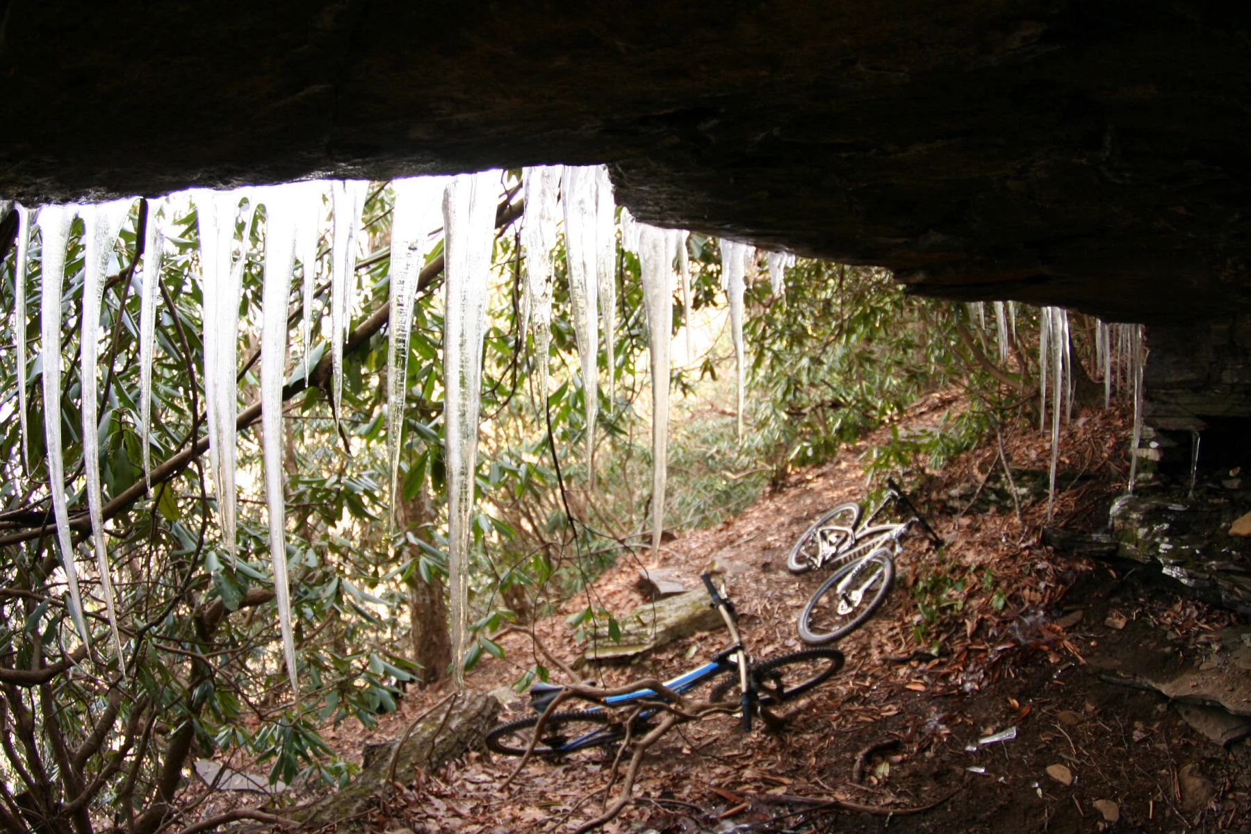 A row of icicles hangs from a rocky overhang above a dirt trail, where a mountain bike is parked in the winter woods.