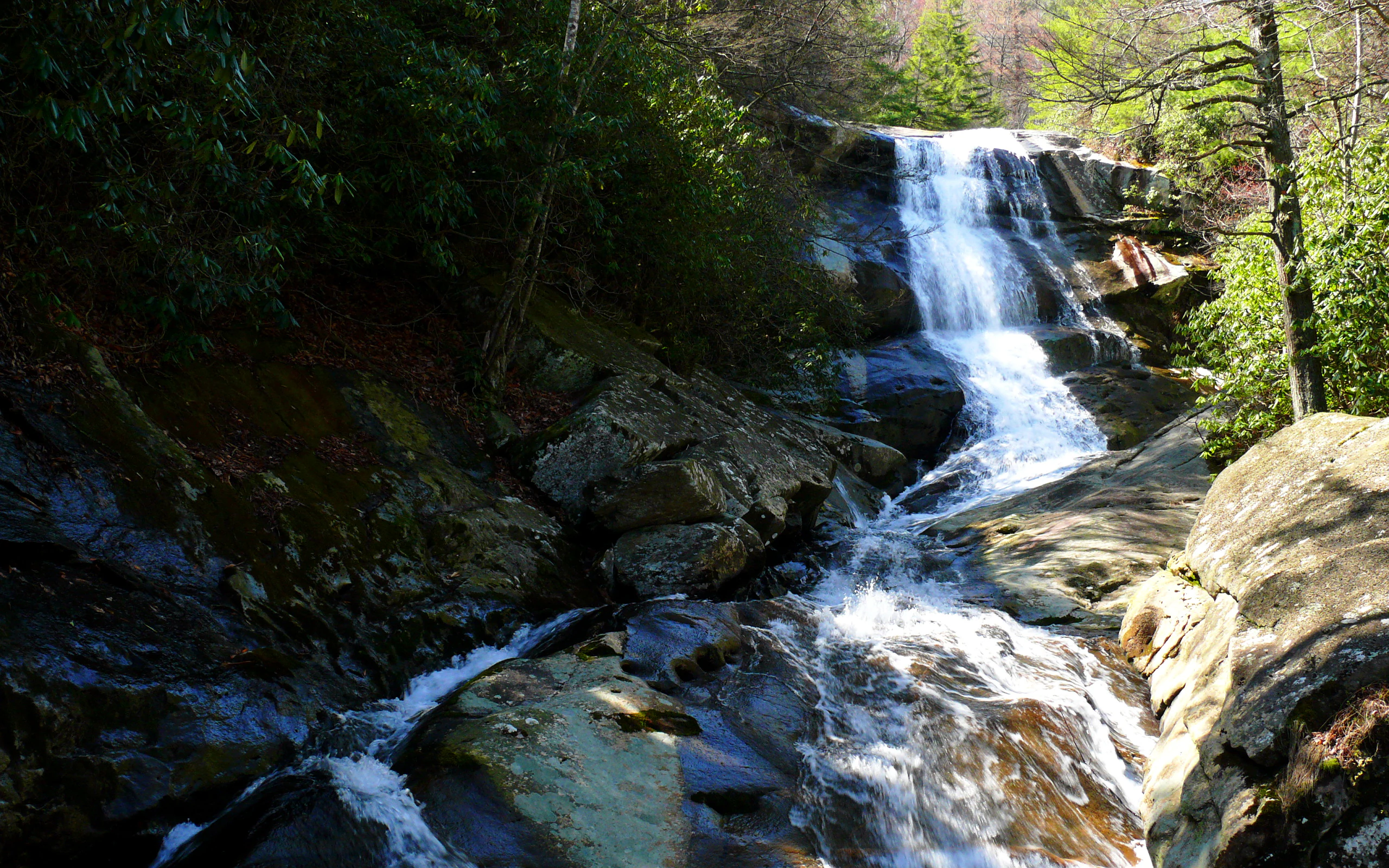 A multi-tiered waterfall cascades down dark, wet rock faces surrounded by dense green forest foliage.