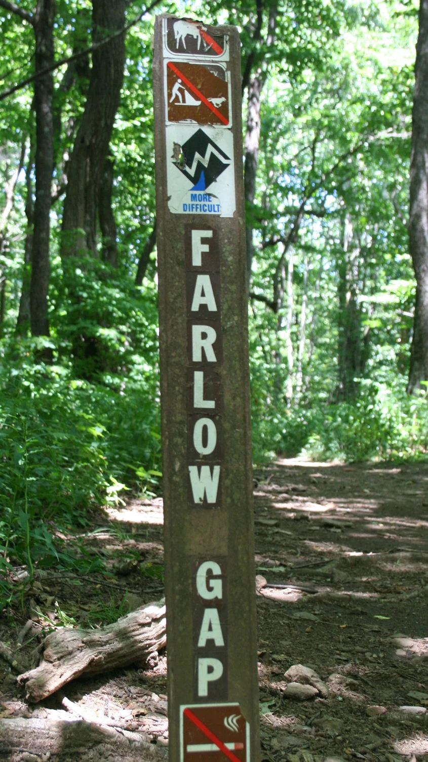 A vertical wooden trail sign for Farlow Gap, featuring icons for prohibited activities and a blue diamond indicating the trail difficulty, standing on a dirt path in a wooded area.