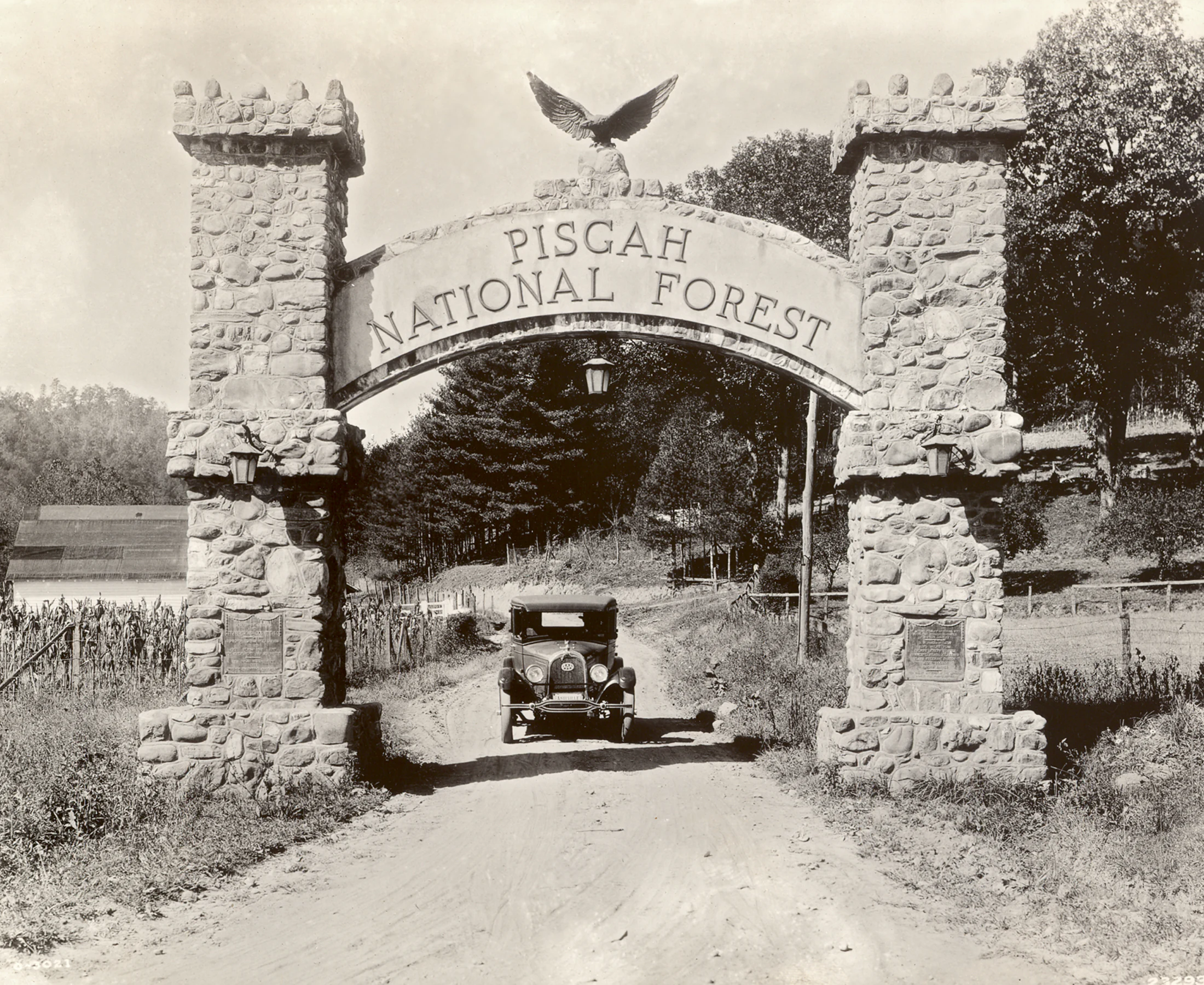 A black and white historic photograph of a stone archway spanning a dirt road at the entrance to Pisgah National Forest, with an early 20th-century vehicle visible beneath the arch.
