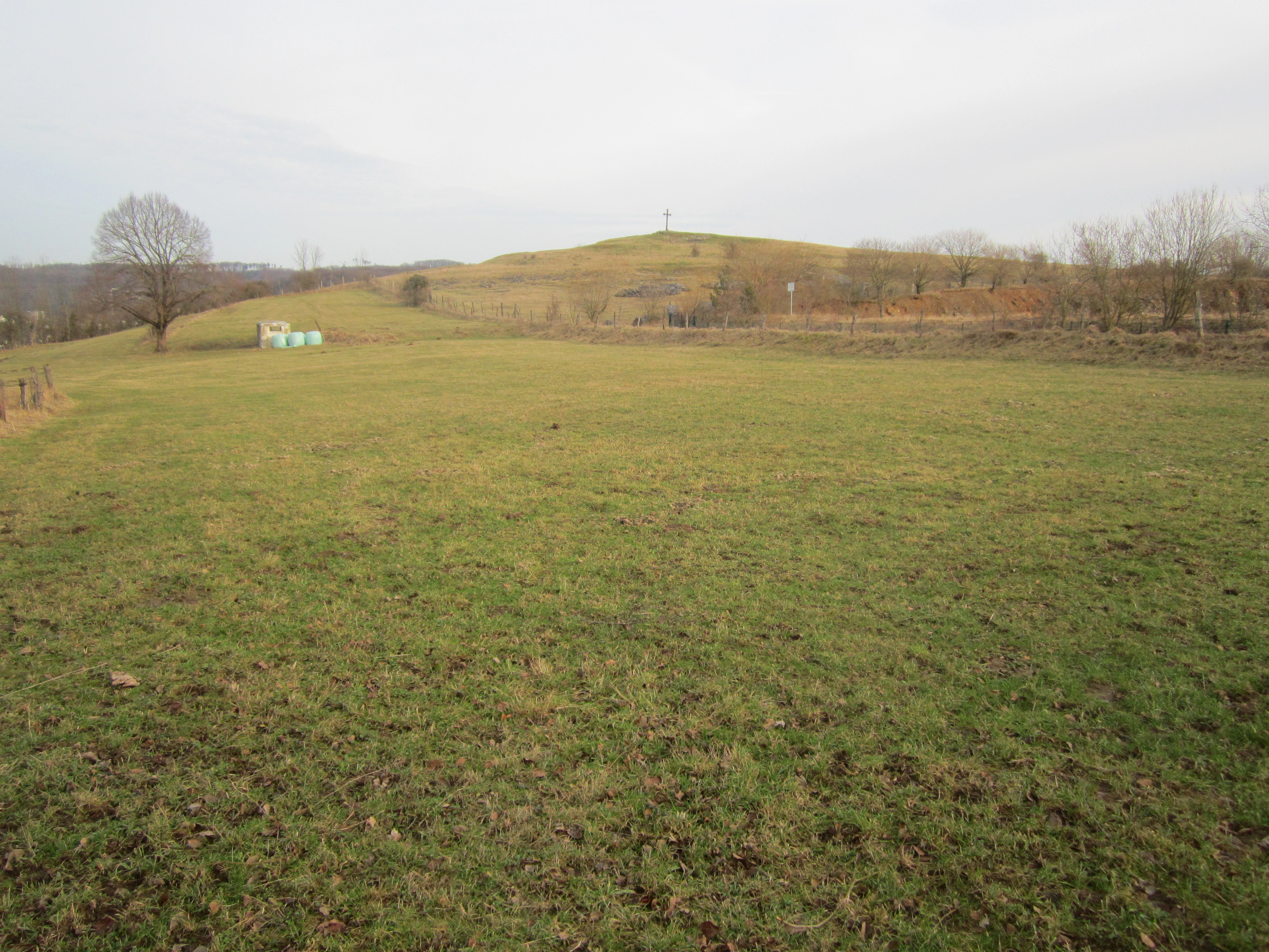 A wide, grassy meadow leading up to a low, gentle hill in the Piusberg nature reserve, with sparse trees and an overcast sky.