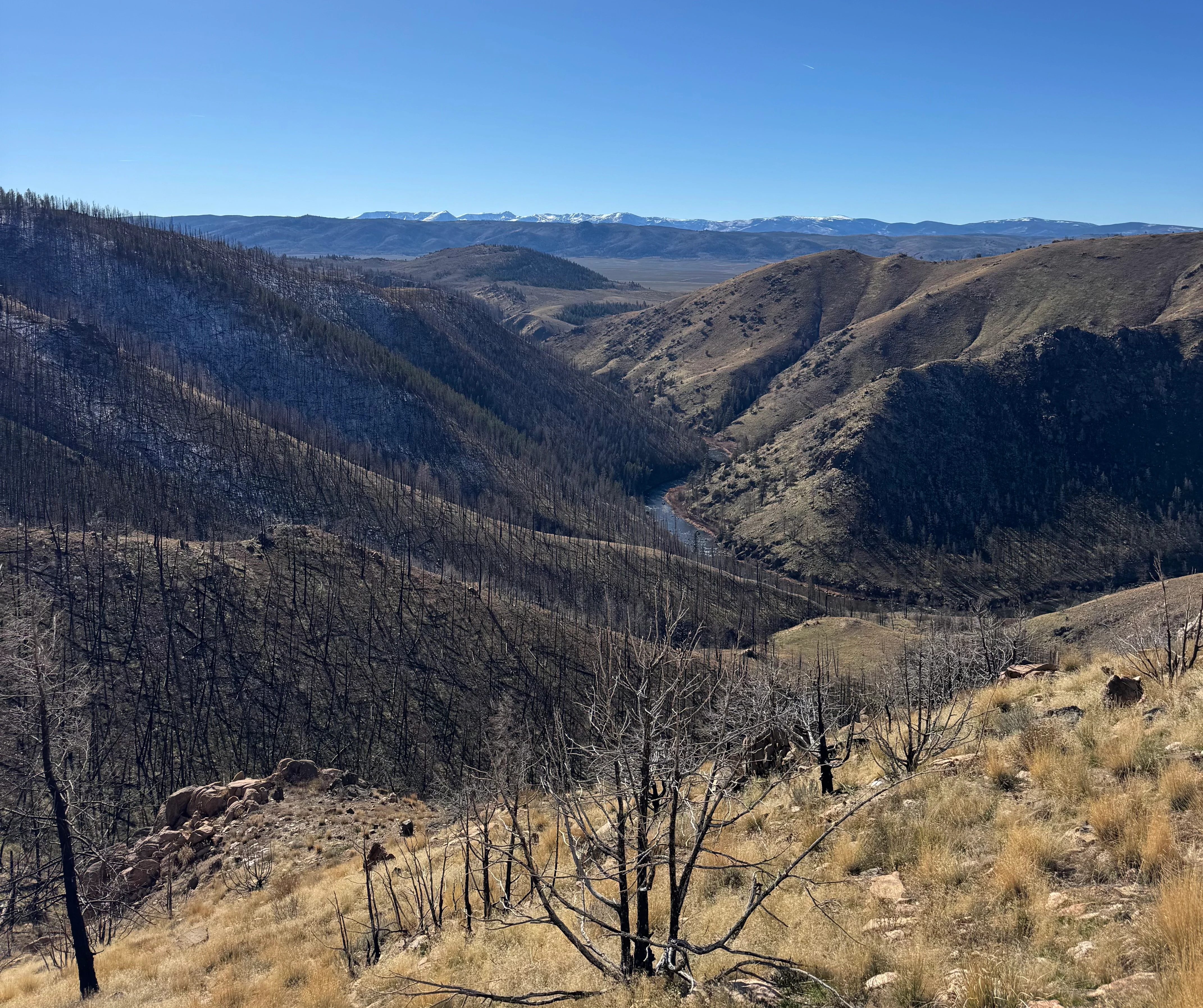 A wide, high-angle landscape shot of a deep river valley featuring slopes covered in charred remains of trees, with a winding river visible below and snow-capped mountains in the distant horizon under a clear blue sky.