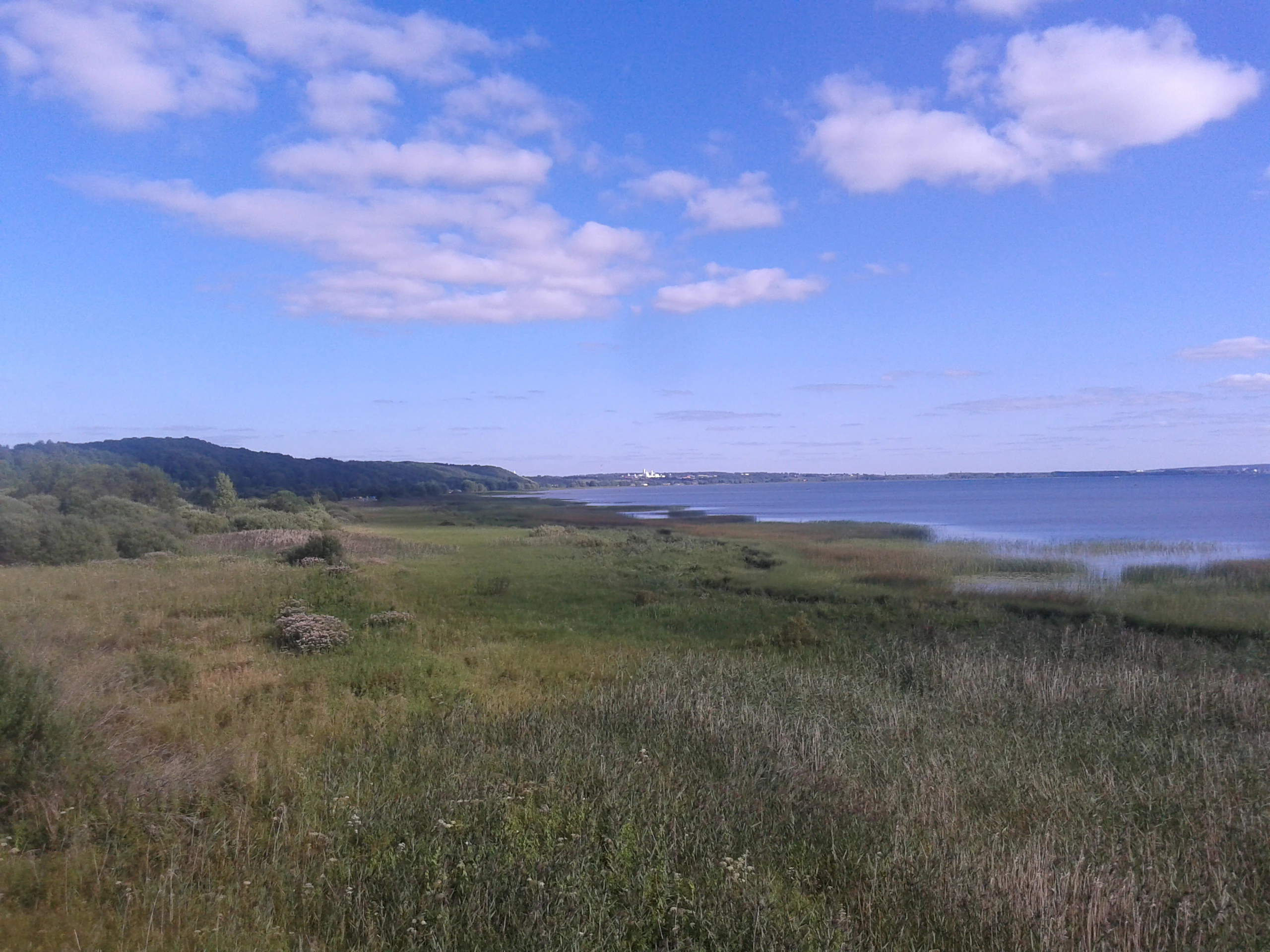 A wide, elevated view of a large lake with expansive marshland and reeds in the foreground, and a forested shoreline in the distance under a blue sky with scattered clouds.