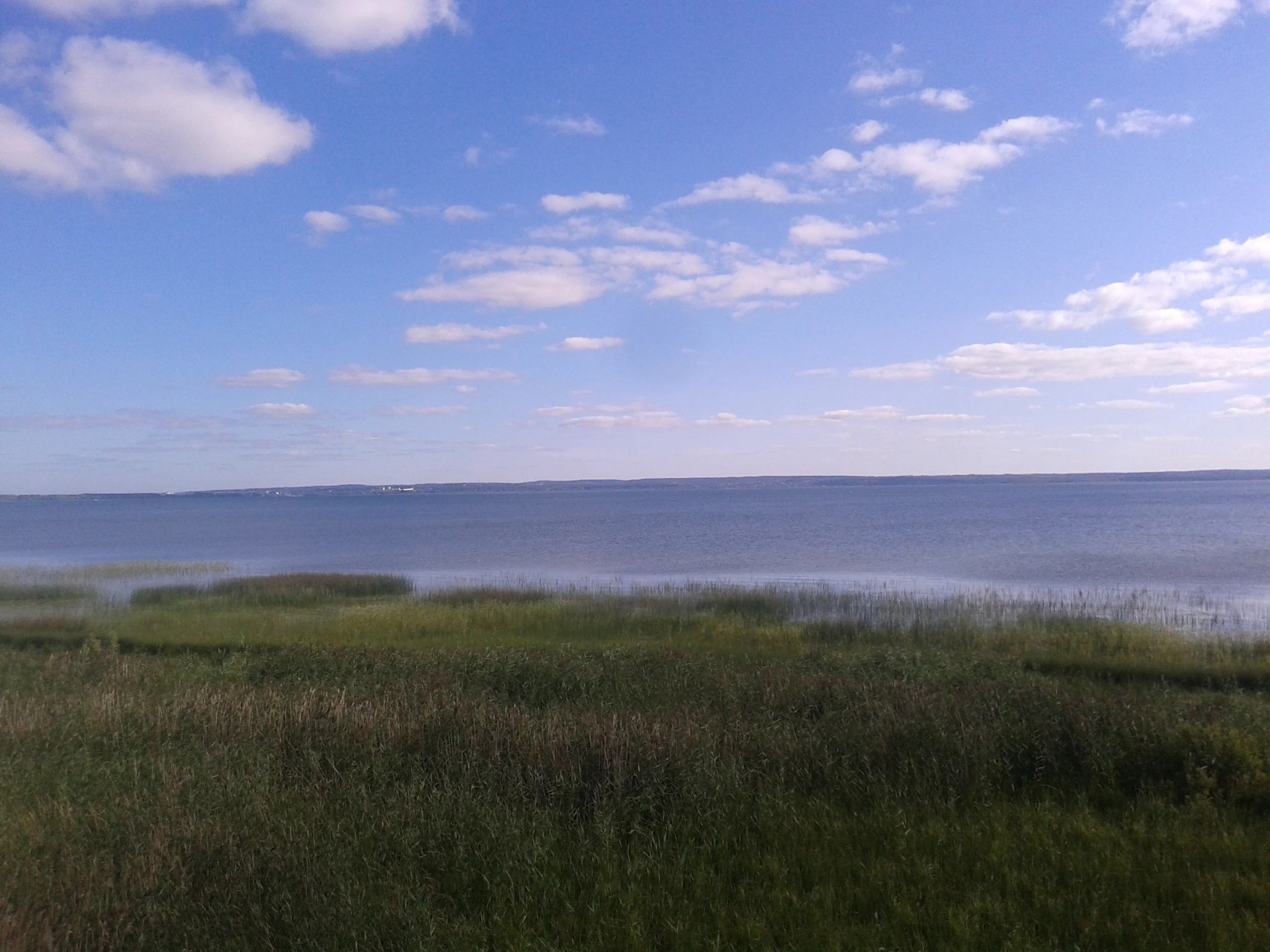 A wide, eye-level view of a large, calm lake under a bright blue sky with sparse clouds, with grassy wetlands in the foreground.