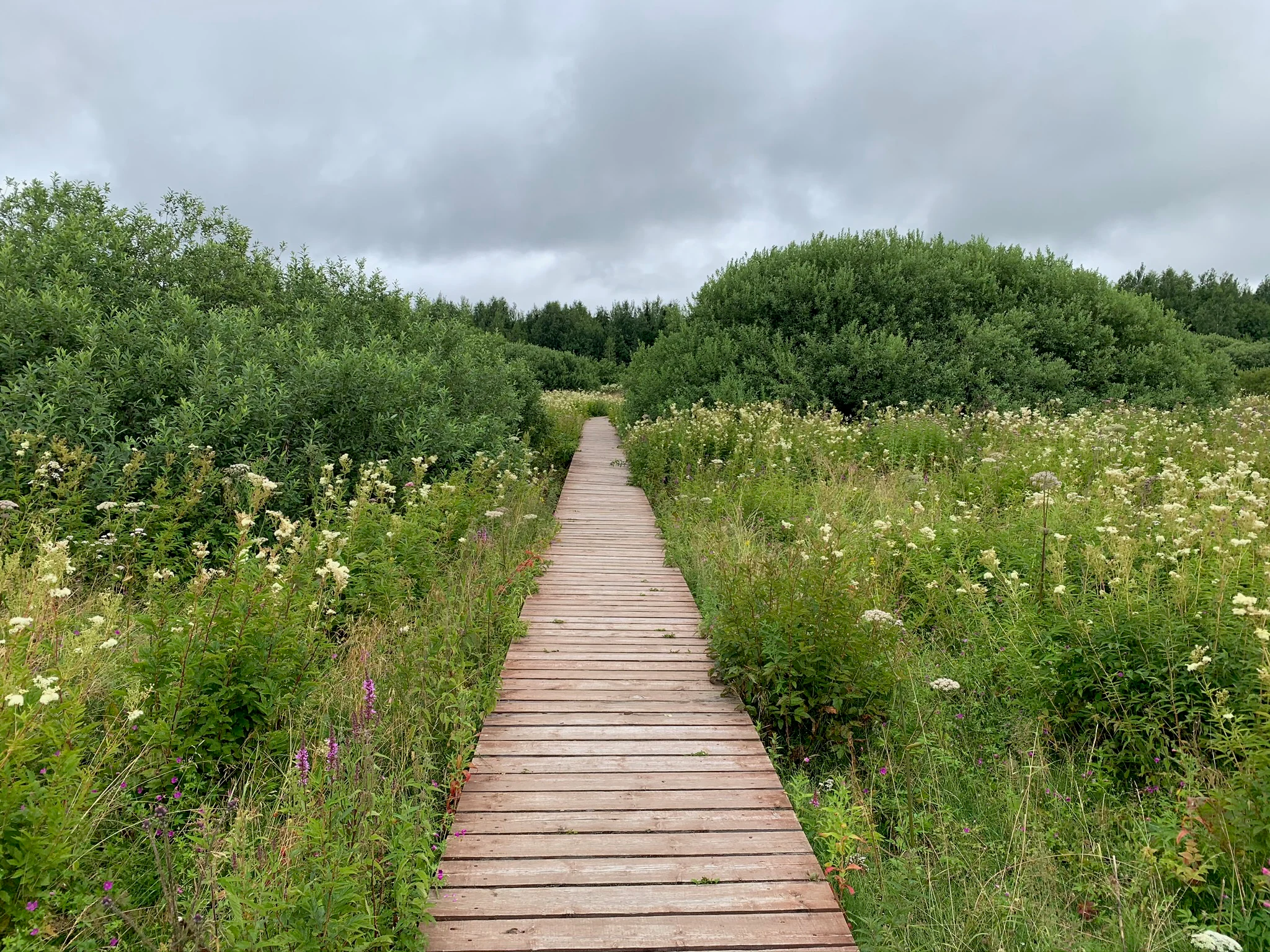 A straight wooden boardwalk stretches forward through a meadow filled with wildflowers and tall grasses, surrounded by dense green shrubs under a cloudy sky.