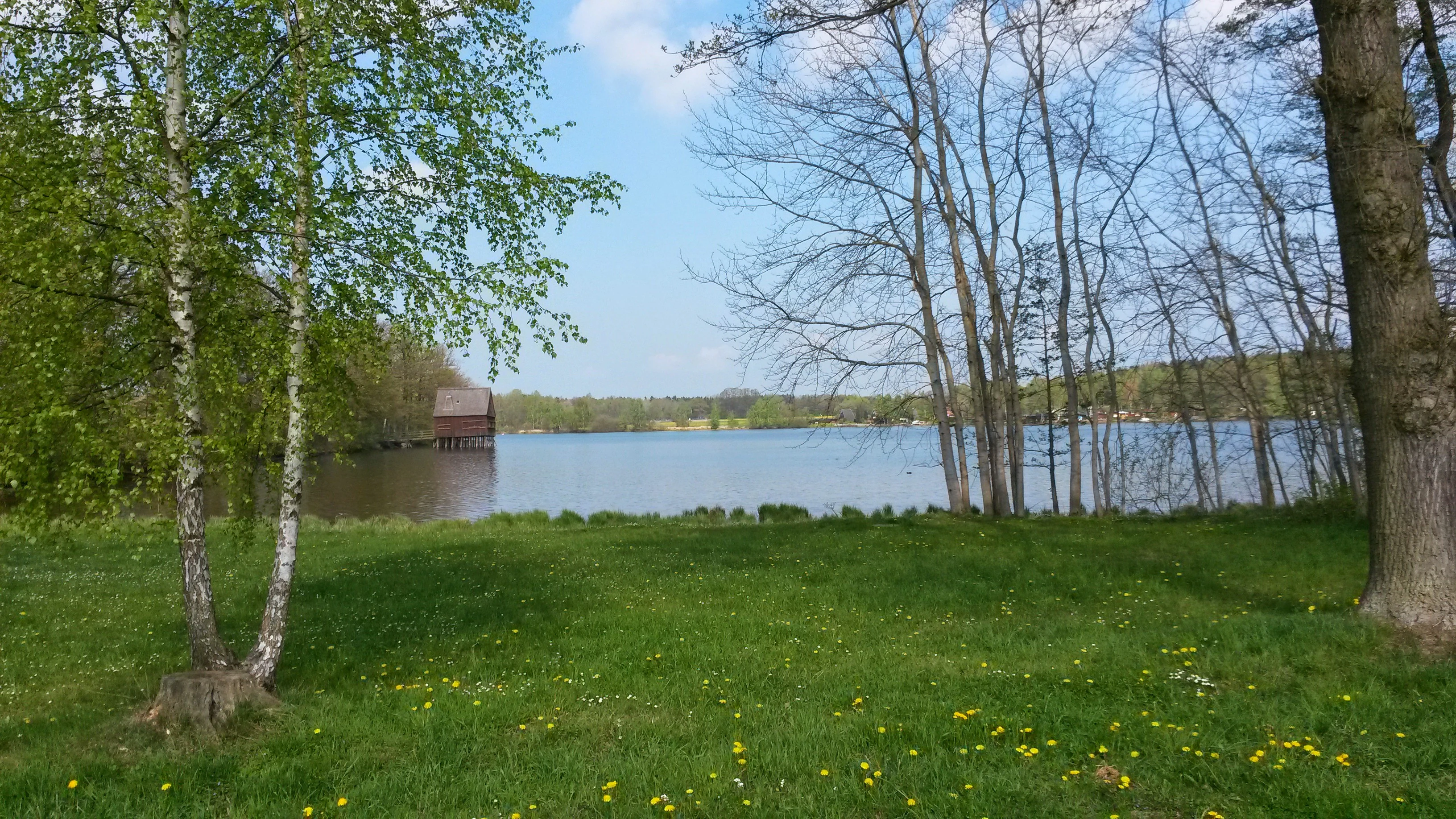 A calm lake surrounded by trees and green grass, with a small brown wooden building standing on stilts in the water on the left side.