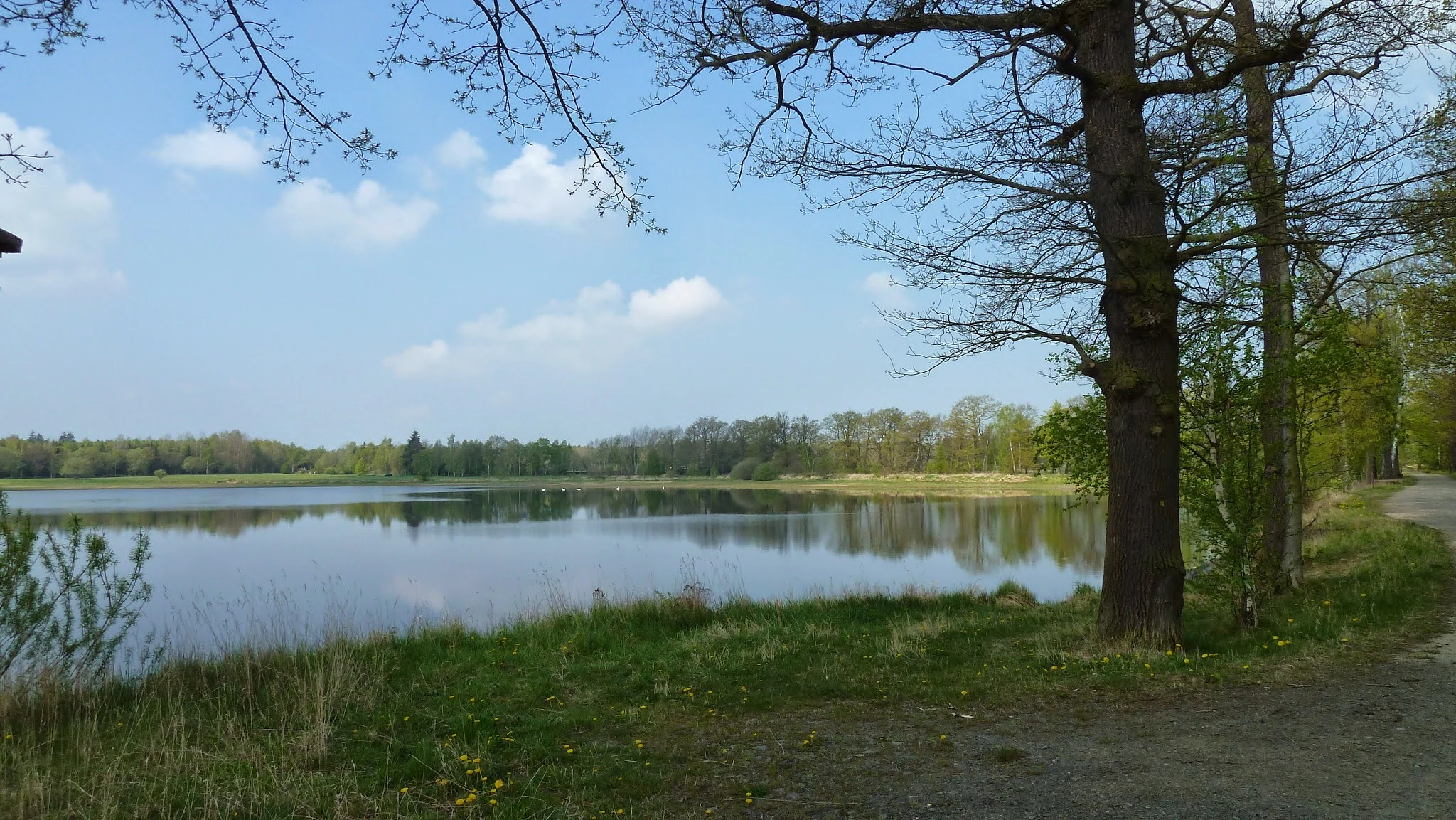A serene view of a pond, Neuer Teich, surrounded by green trees and fields on a clear spring day.