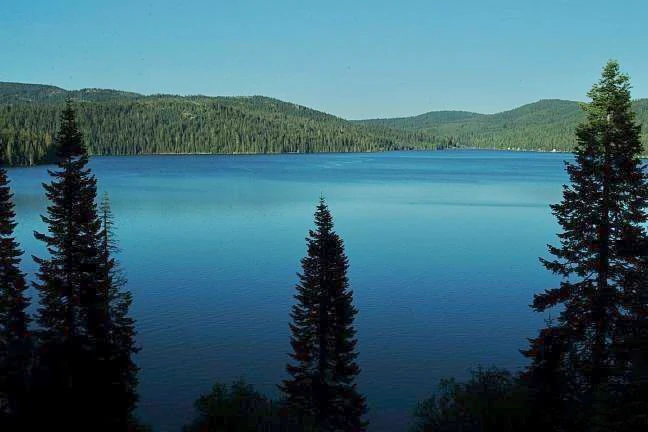 A wide, calm blue lake surrounded by dense evergreen forests and rolling mountain slopes under a clear sky.