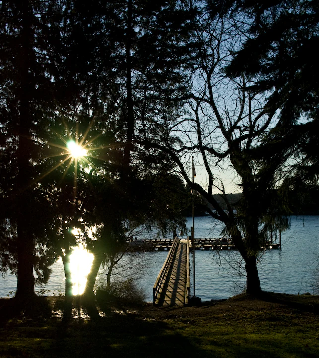 A wooden dock extends into calm water, framed by dark silhouetted trees with the sun shining brightly through the branches on the left.