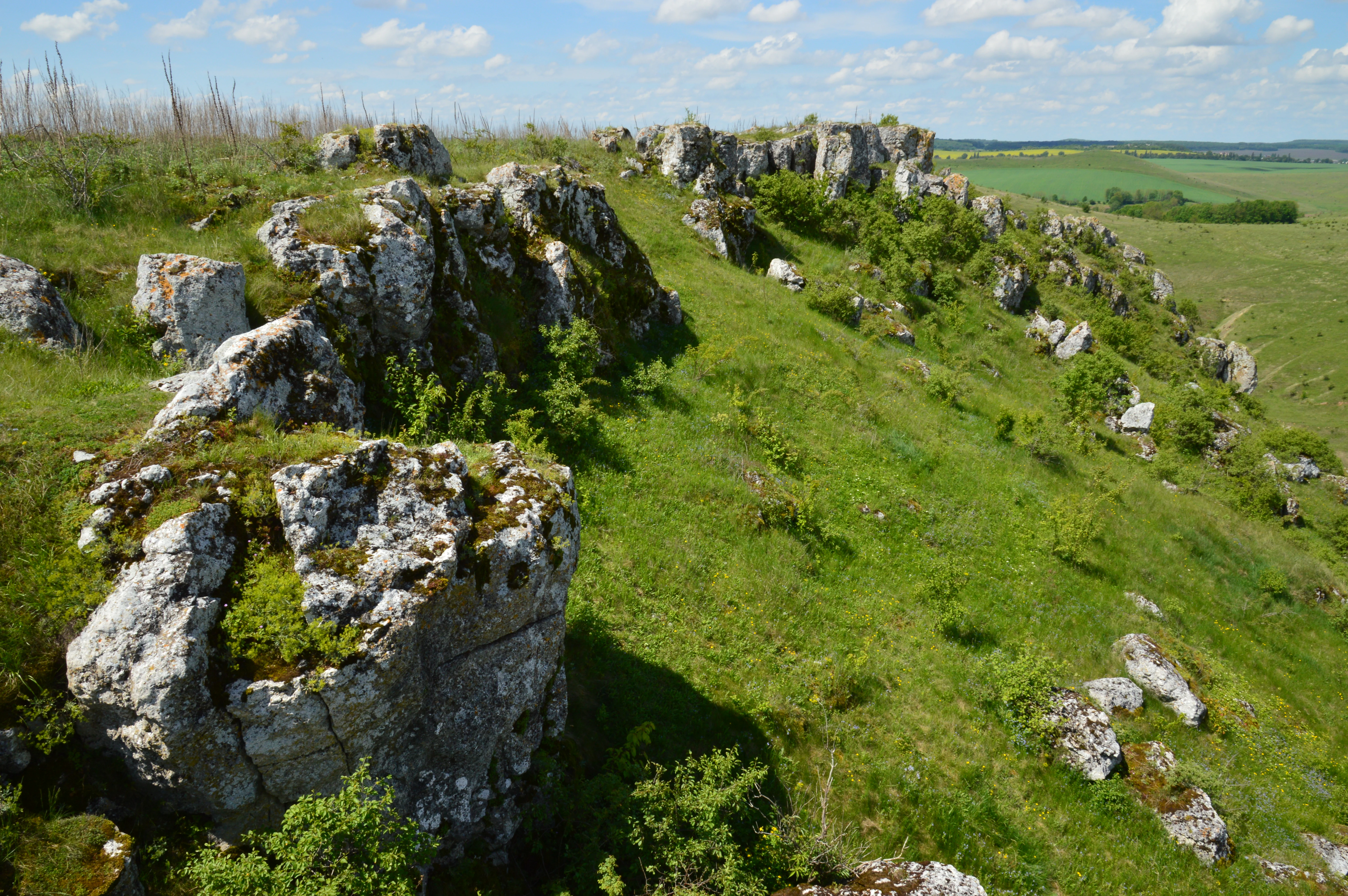Grassy hillside with rocky outcrops and patches of vegetation under a partly cloudy sky