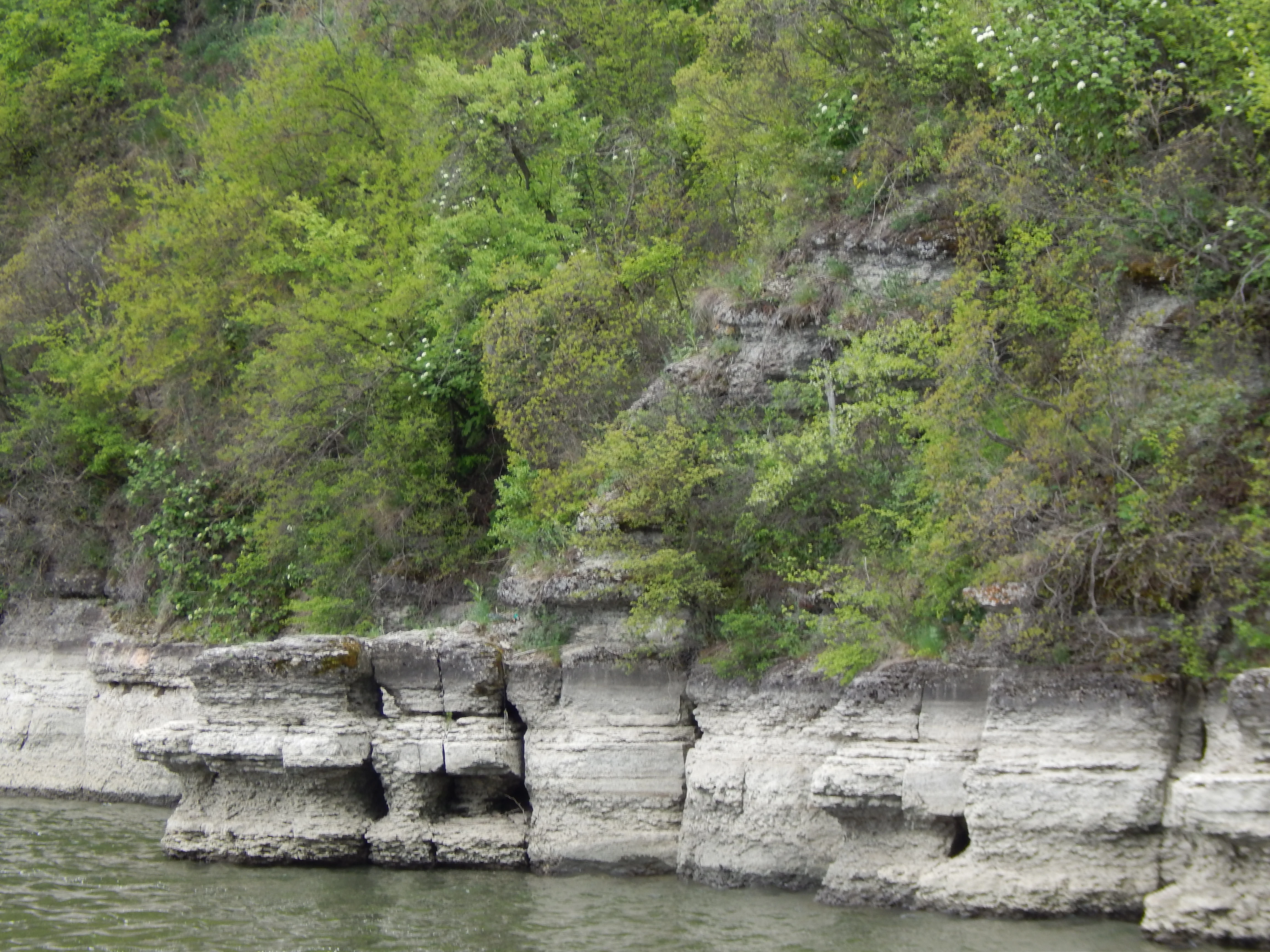 Rocky river cliffs covered in green vegetation along the Dniester River