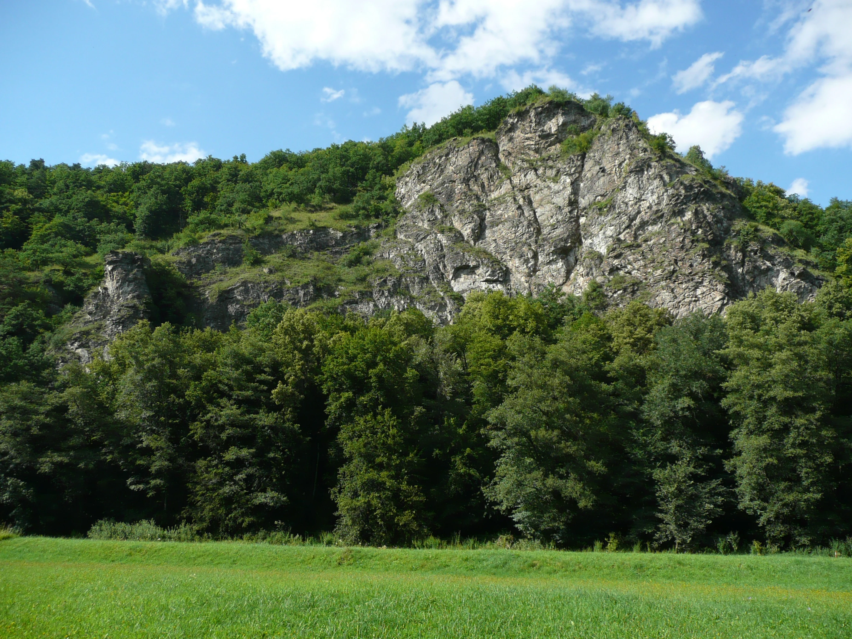 A large rocky cliff face with patches of vegetation, surrounded by dense forest and a grassy field under a partly cloudy sky