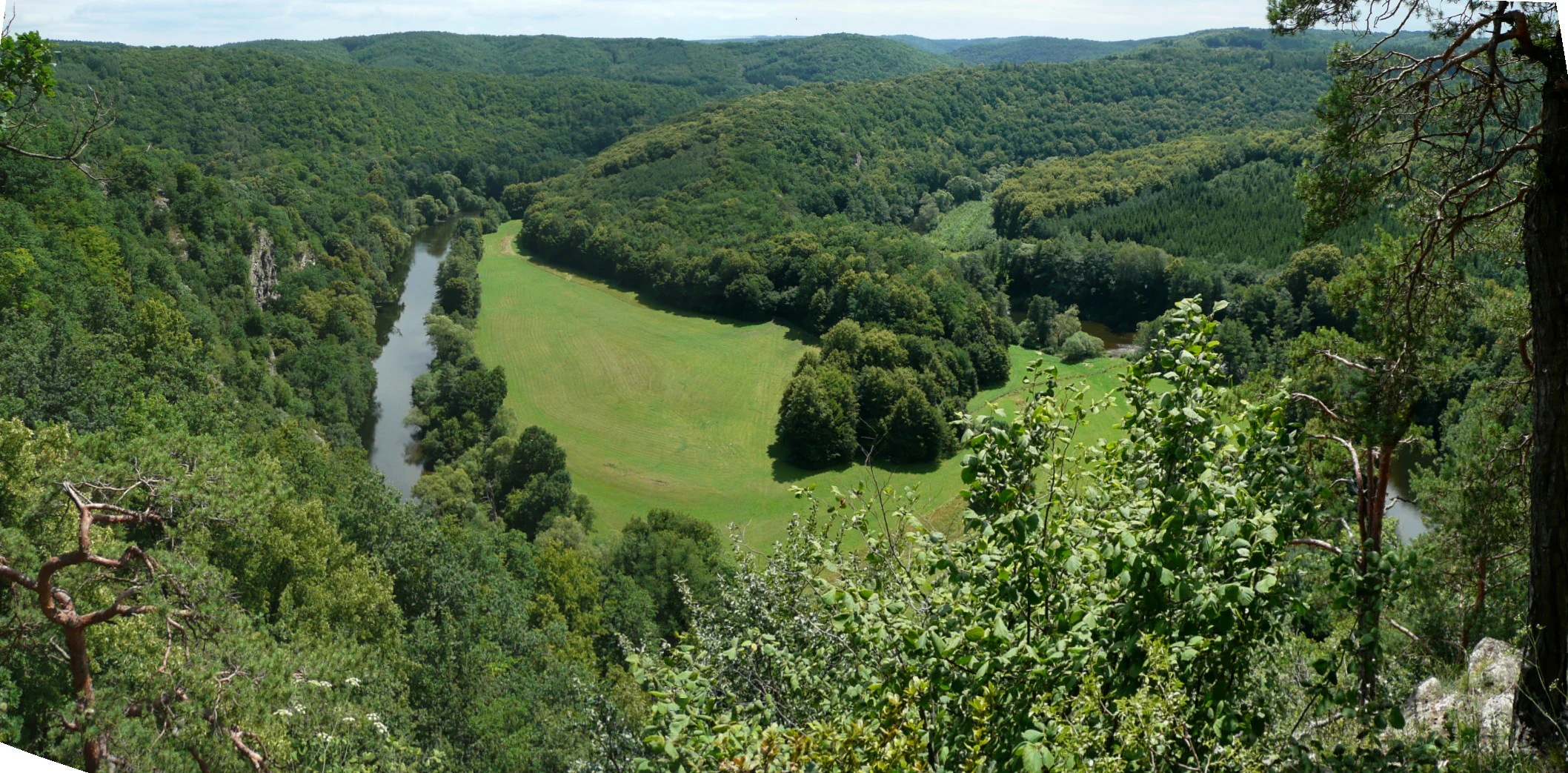 Wide view of Dyje River winding through a forested valley with green meadows and rolling hills in the background