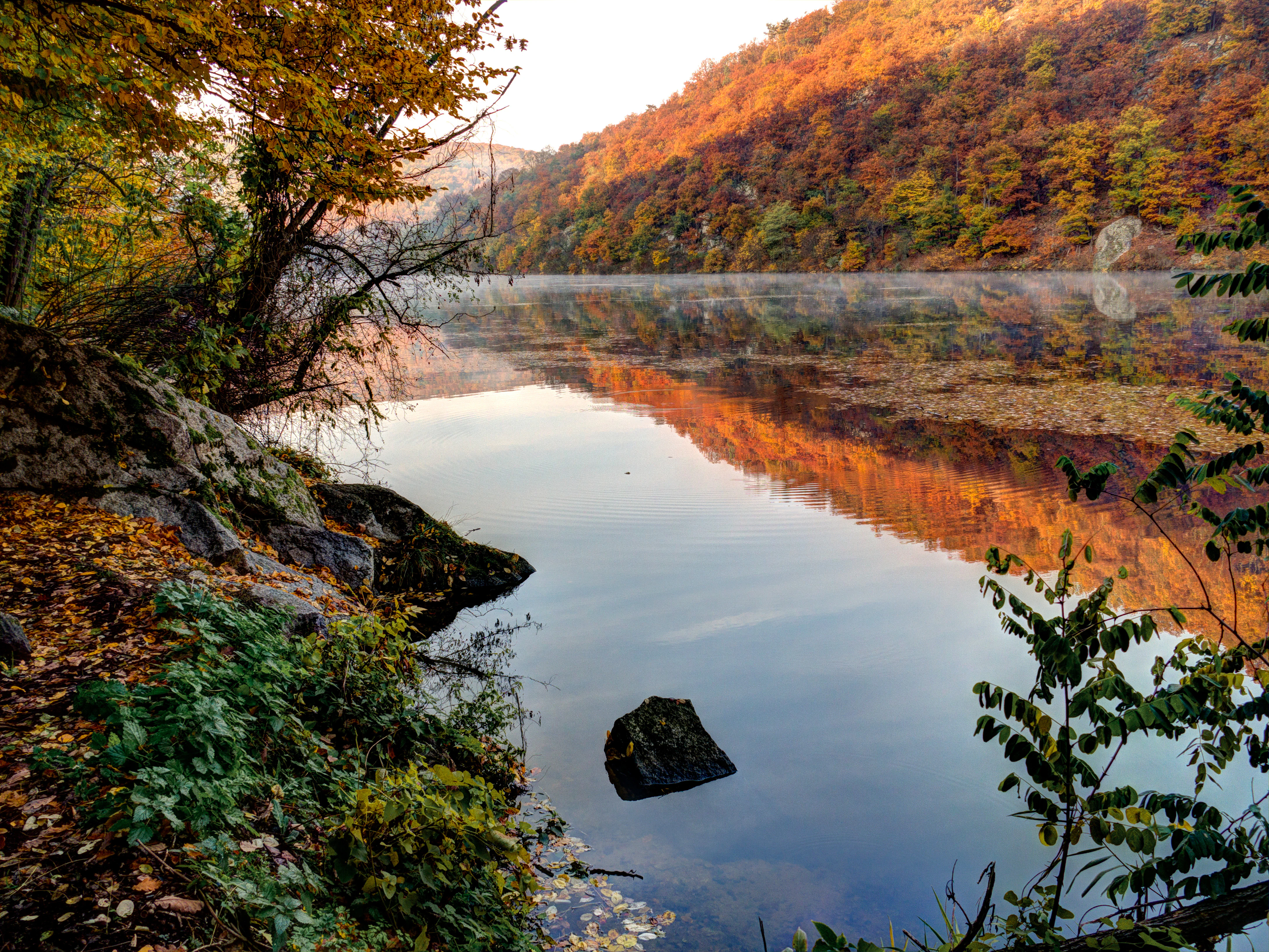 A calm river reflecting autumn trees and mist, surrounded by forested hillsides with fallen leaves on the shore