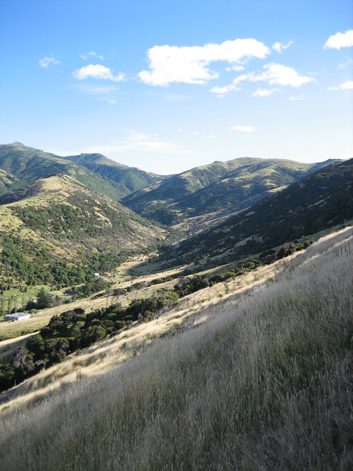 A wide, sunlit view of a grass-covered valley and rolling hills in the Pōhatu Marine Reserve area, with some small structures visible in the distance.