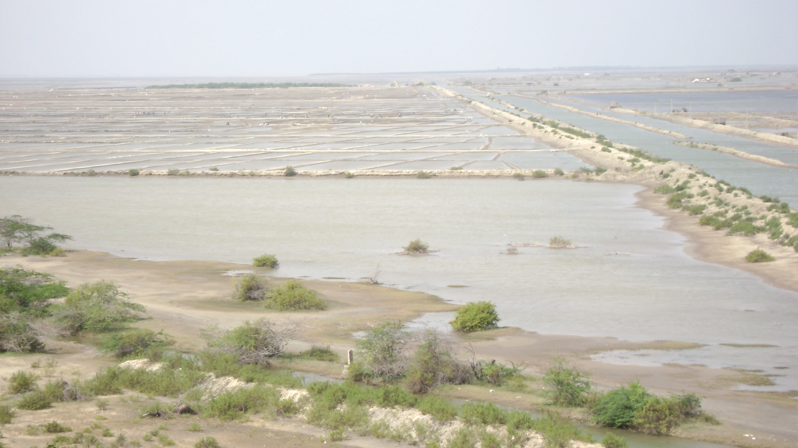 A high-angle, wide shot of expansive salt pans with shallow water, divided by earthen embankments and sparse desert-like vegetation.