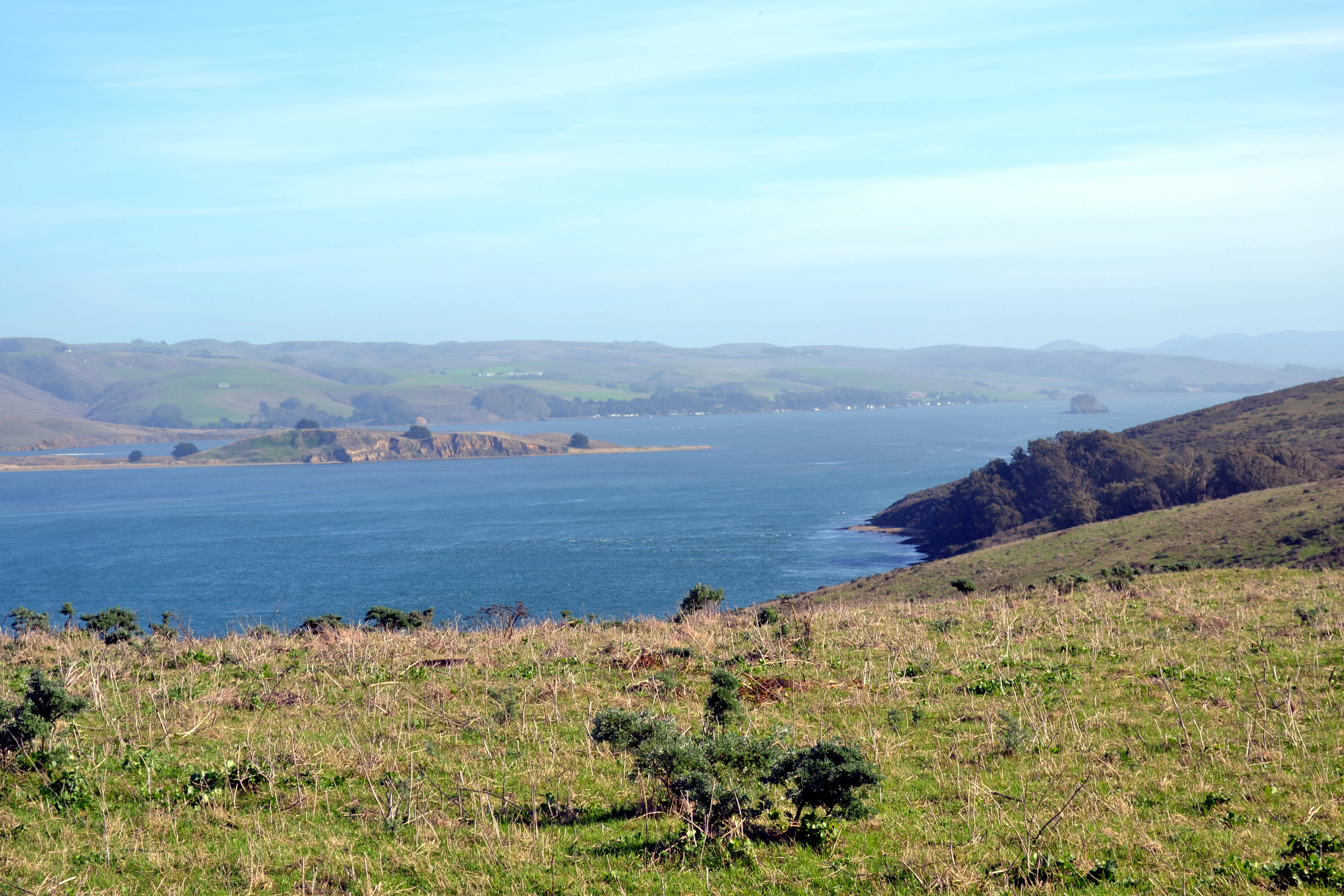 A wide, elevated view of a coastal bay with rolling grassy hills in the foreground and distant hills across the water.
