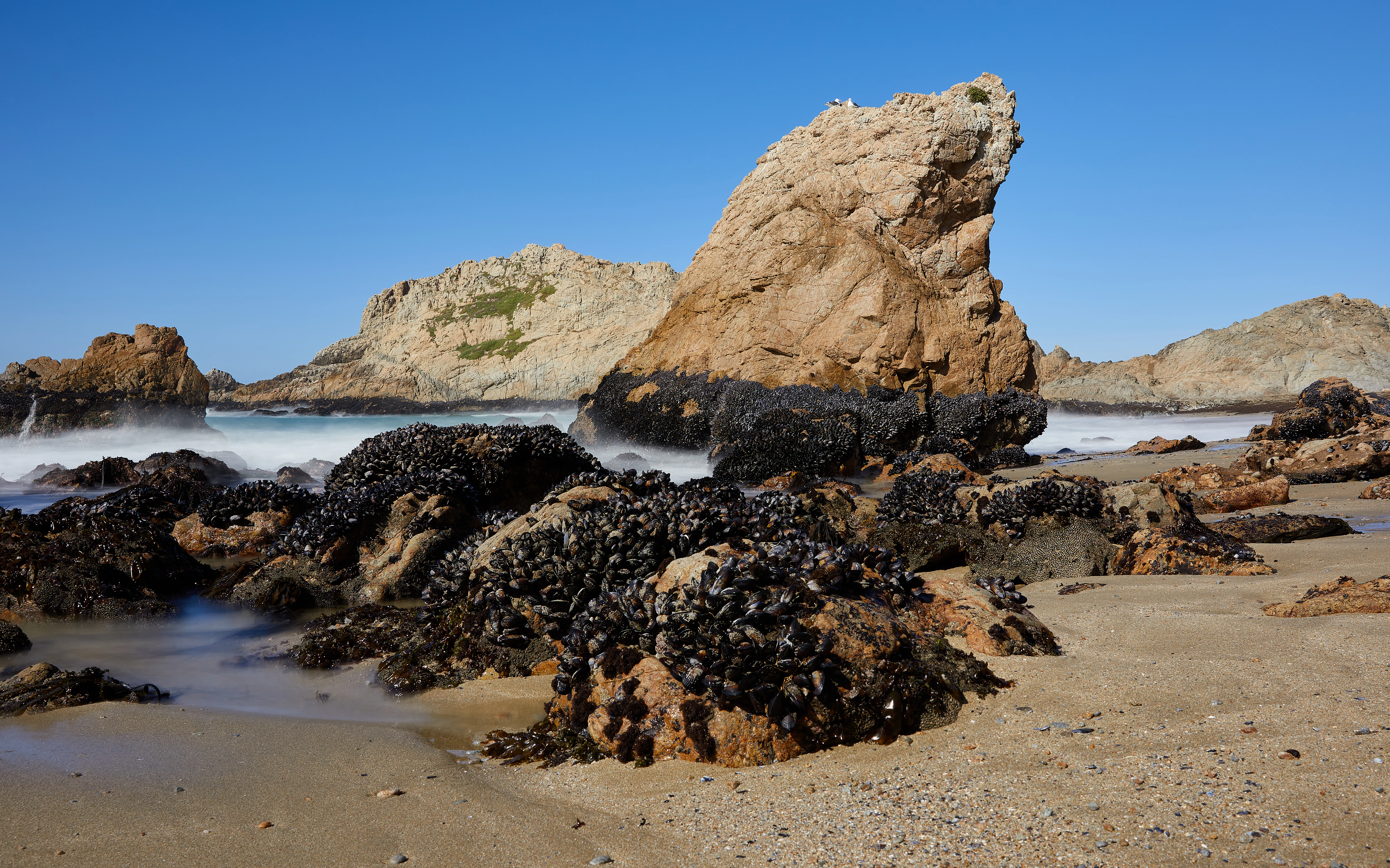 A wide angle view of a sandy beach featuring large rocky outcrops covered in dark mussels, with soft waves lapping against the base and a clear blue sky above.