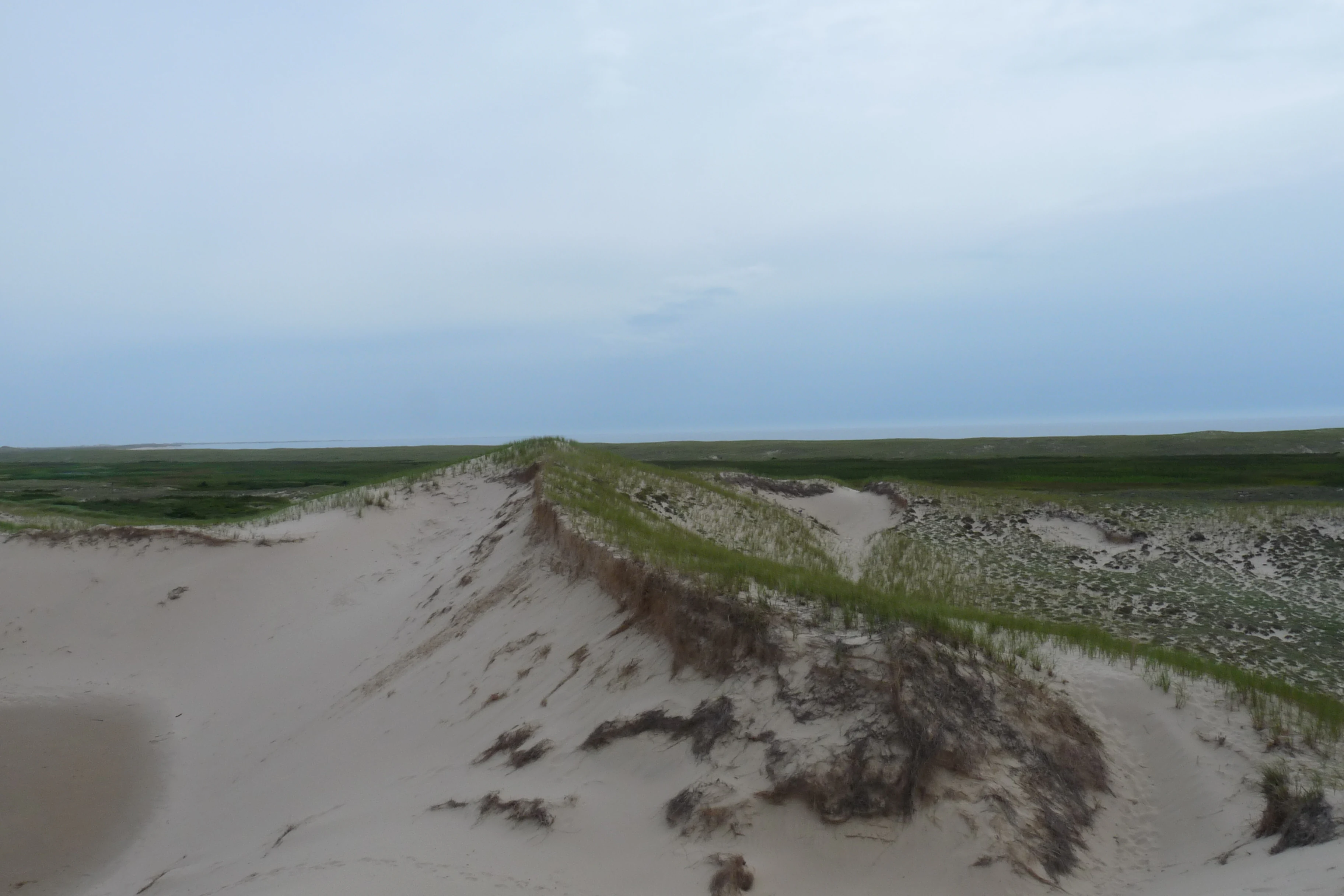 A wide view of sand dunes covered with sparse green grass, leading to a flat green wetland and a body of water under a cloudy sky.