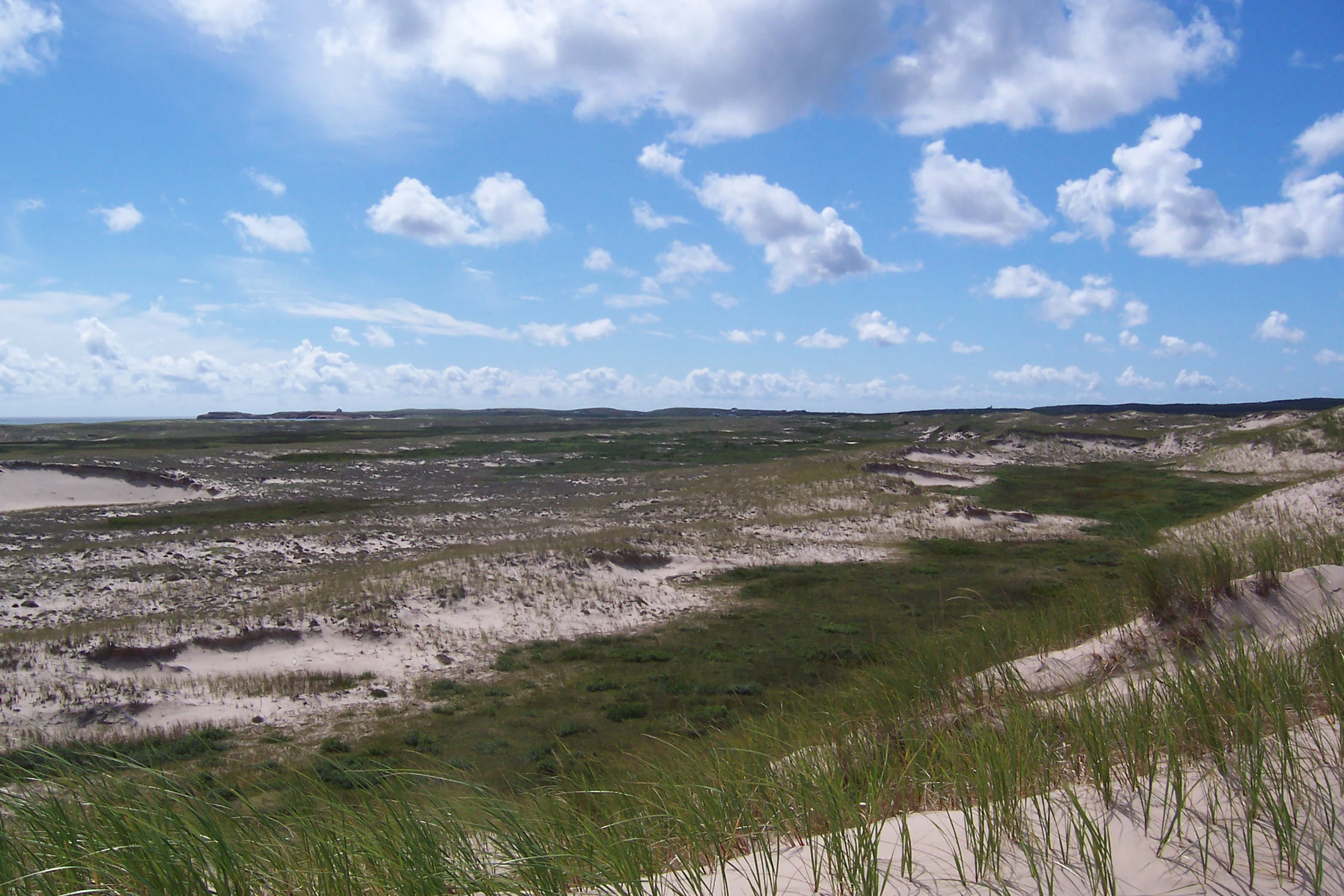 A wide landscape view of sand dunes with green grasses under a blue sky with white clouds.