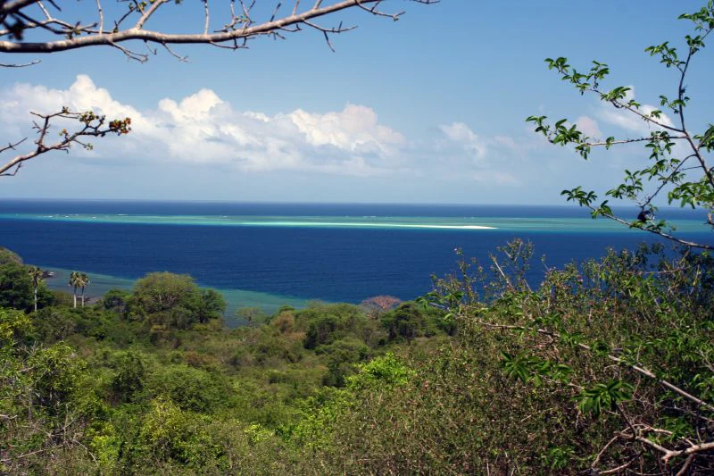 A high angle view looking out from a forested hillside over a expanse of deep blue ocean, with a long, thin, bright white sandbank visible in the turquoise shallows.