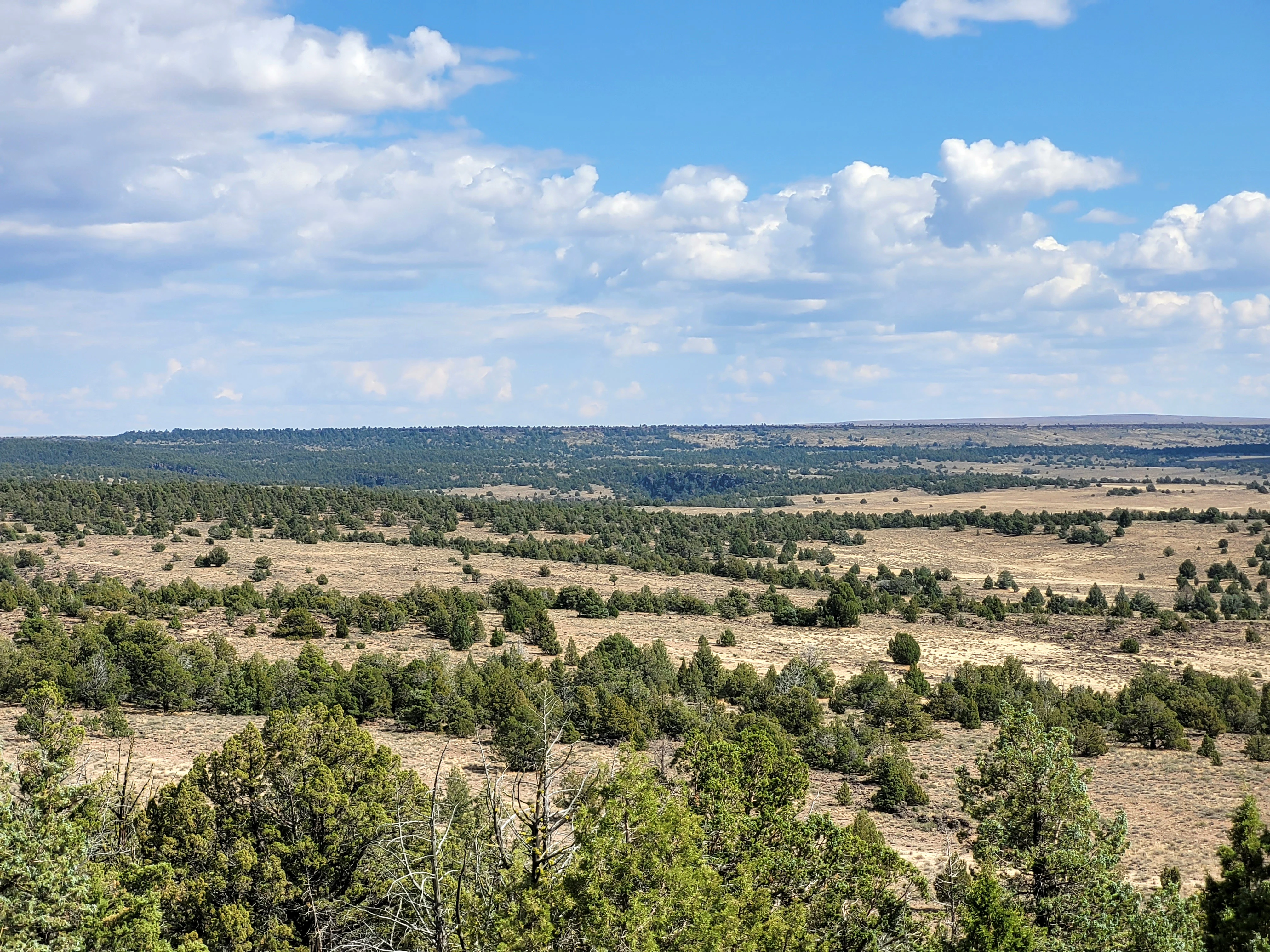 A wide, eye-level landscape shot of a dry, open plateau with scattered juniper trees and sagebrush, stretching toward a distant horizon under a blue sky with scattered clouds.