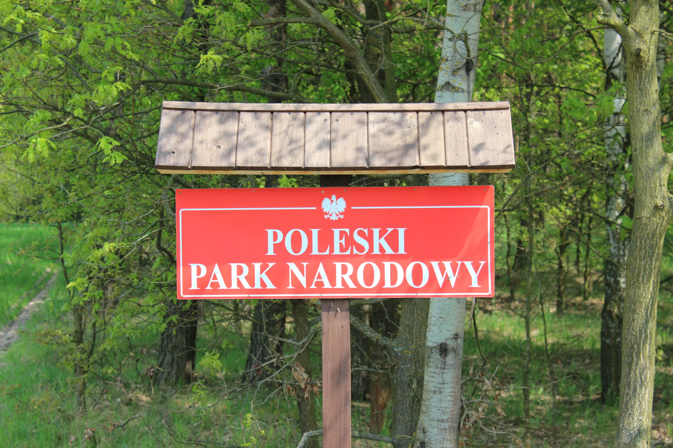 A red rectangular sign with white text 'POLESKI PARK NARODOWY' and the Polish eagle emblem, mounted on a post in a forest.
