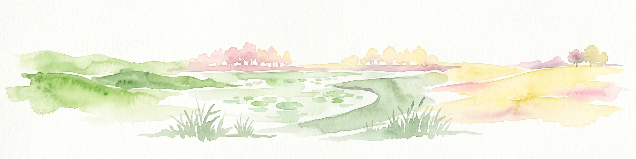 A watercolor painting showing a panoramic view of a marshy landscape with green grasses, light-colored water, and distant trees on a white background.