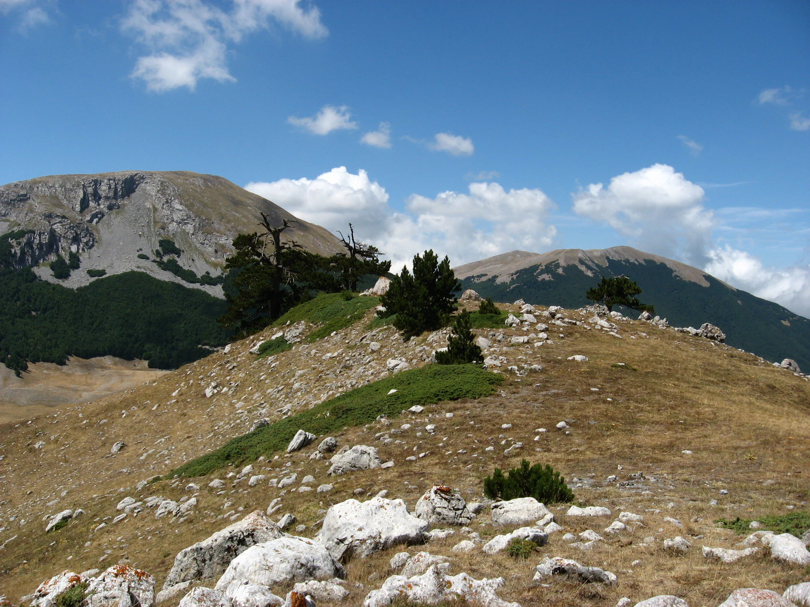 Mountainous landscape showing Monte Pollino and Serra del Prete with rocky terrain, scattered Bosnian Pine trees, and blue sky with clouds