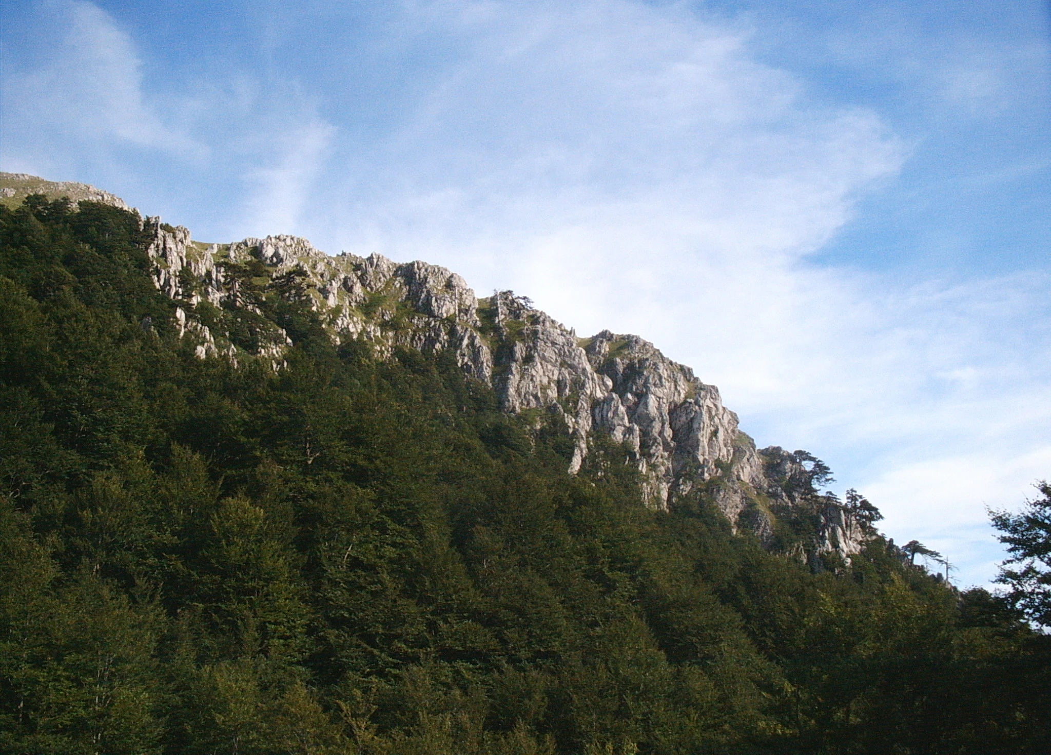 Rocky mountain cliffs with dense forest under a partly cloudy sky