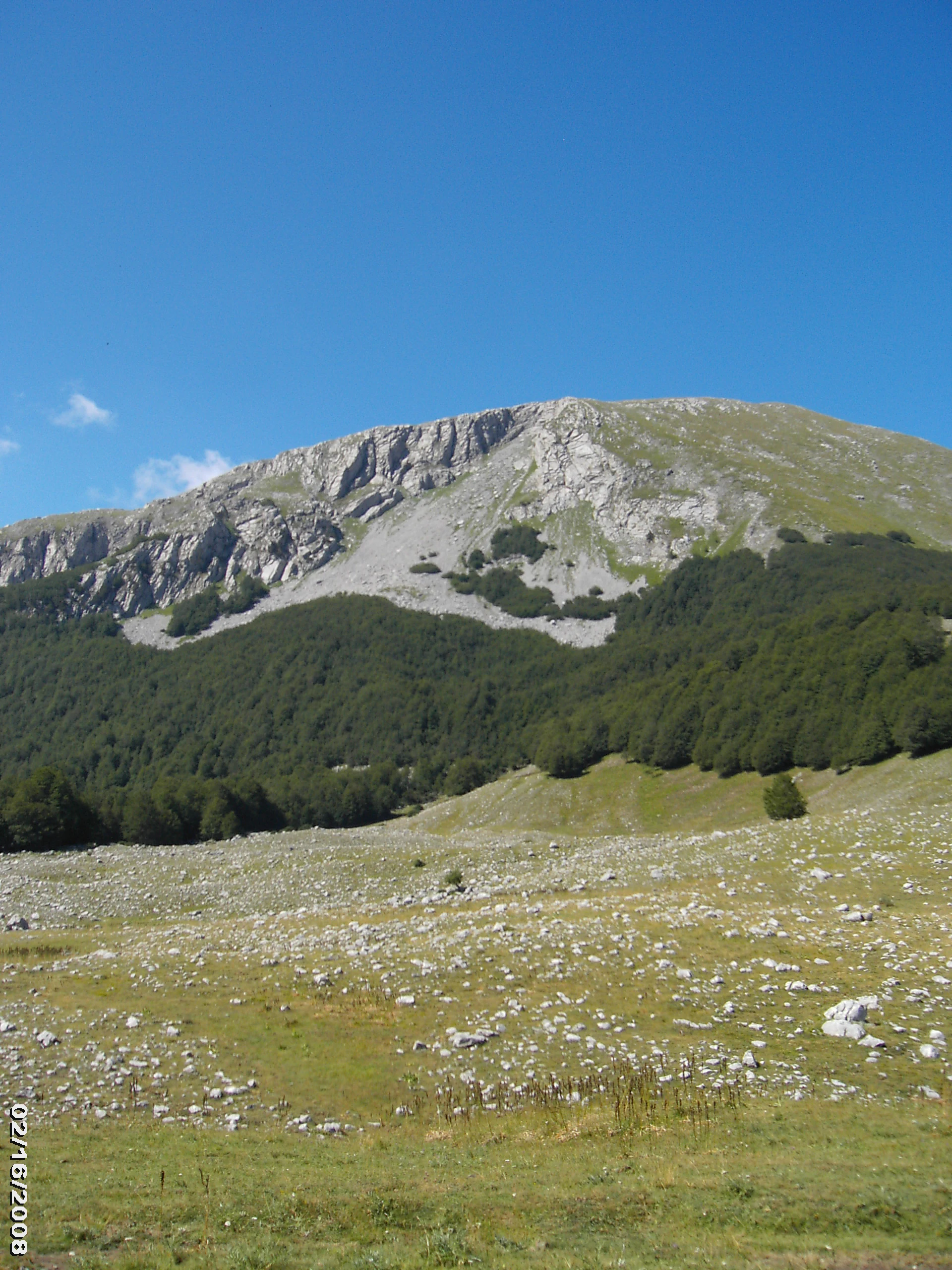 Grassy field with scattered rocks leading to a large mountain with rocky upper slopes and forested lower slopes under a clear blue sky