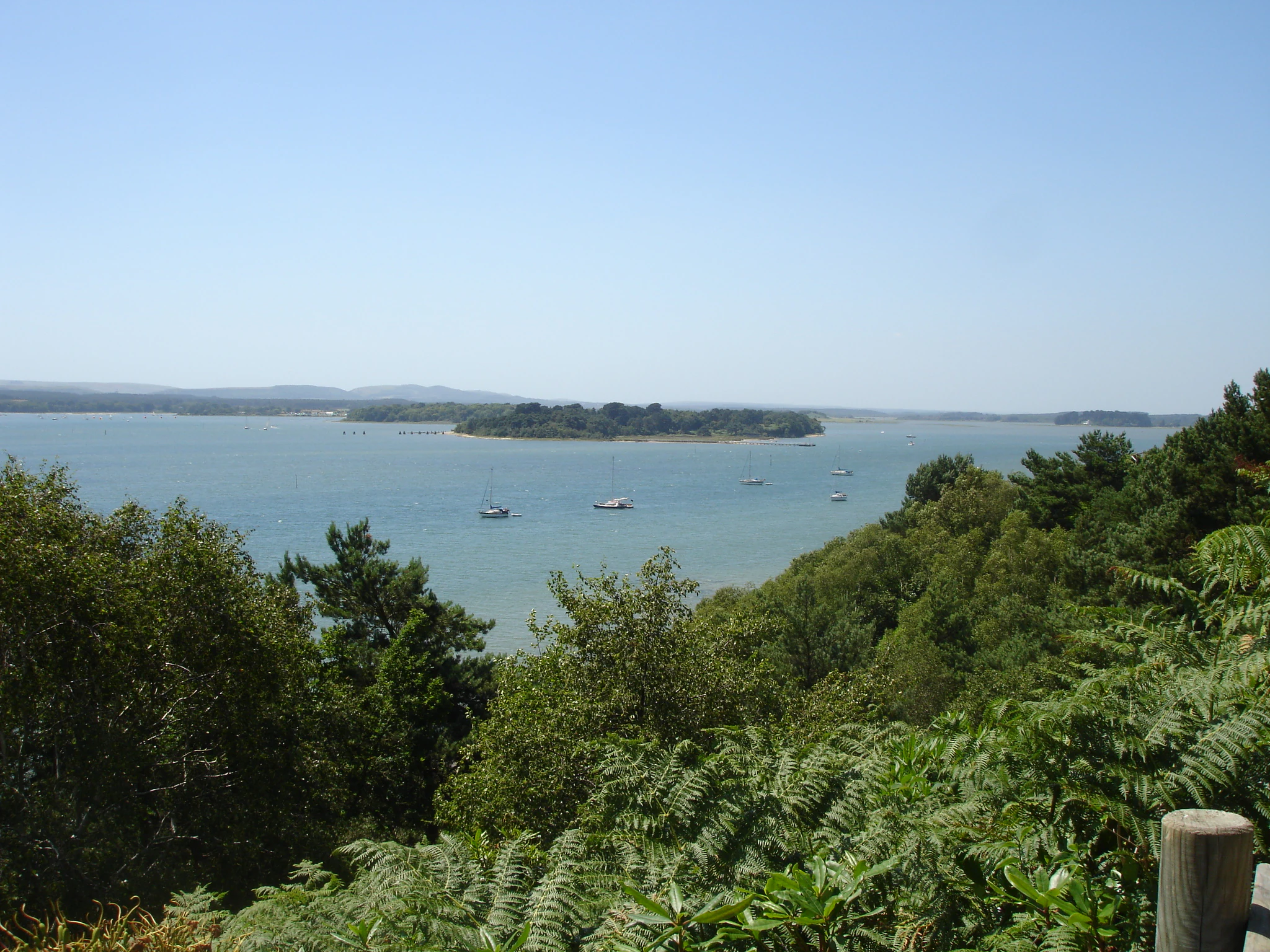 A wide angle view from a wooded hillside looking out over the calm water of Poole Harbour with several small islands and distant low hills under a clear blue sky.
