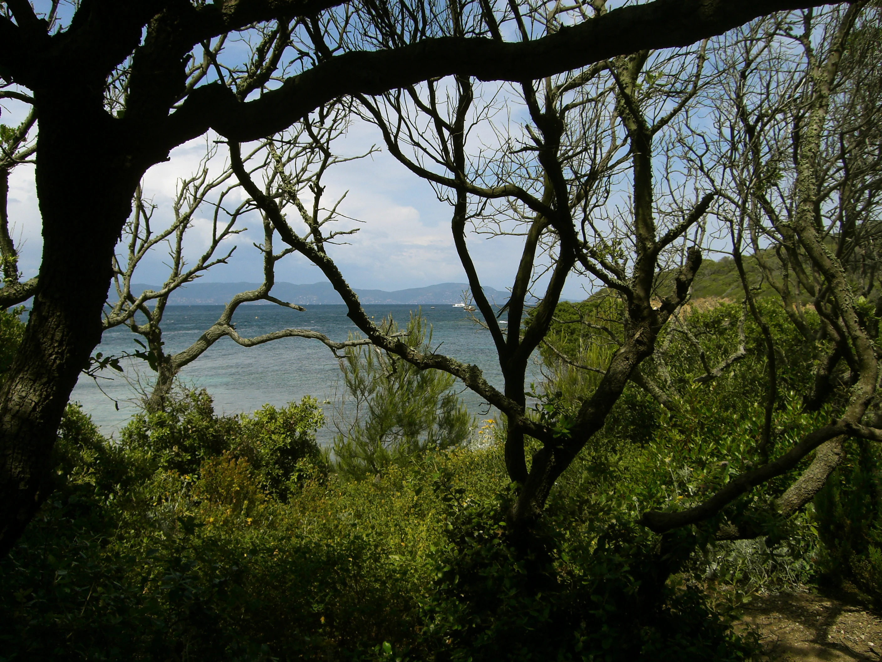 Trees with bare branches frame a view of the Mediterranean Sea and distant landmass under a partly cloudy sky