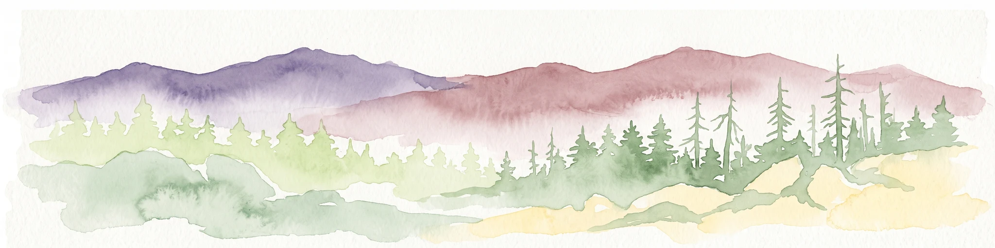 Watercolor painting of a mountain range with spruce forest in the foreground on a white background.
