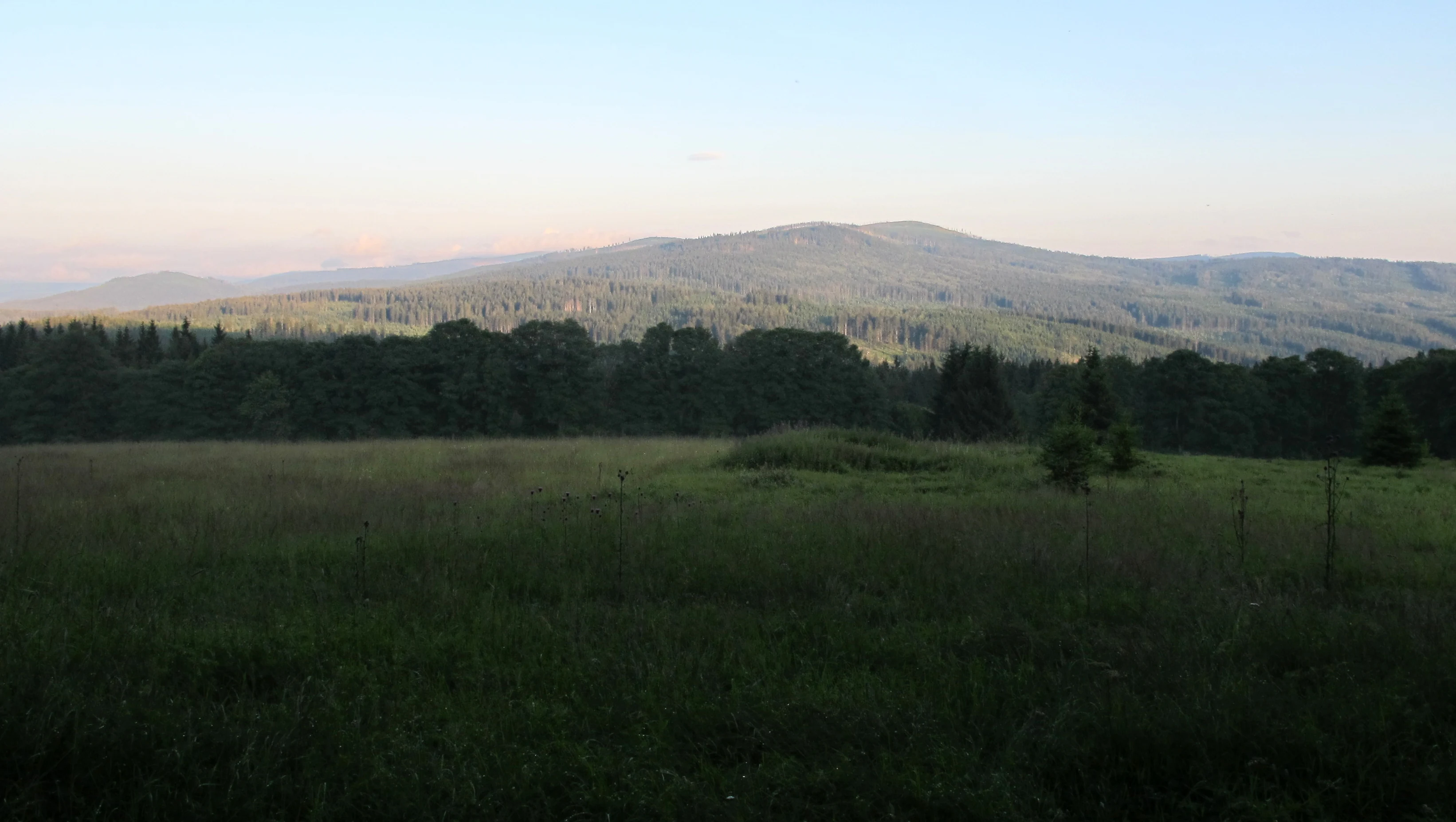 A wide view of a sloping meadow in the foreground leading to a dense coniferous forest and rounded mountains under a soft, hazy sky.