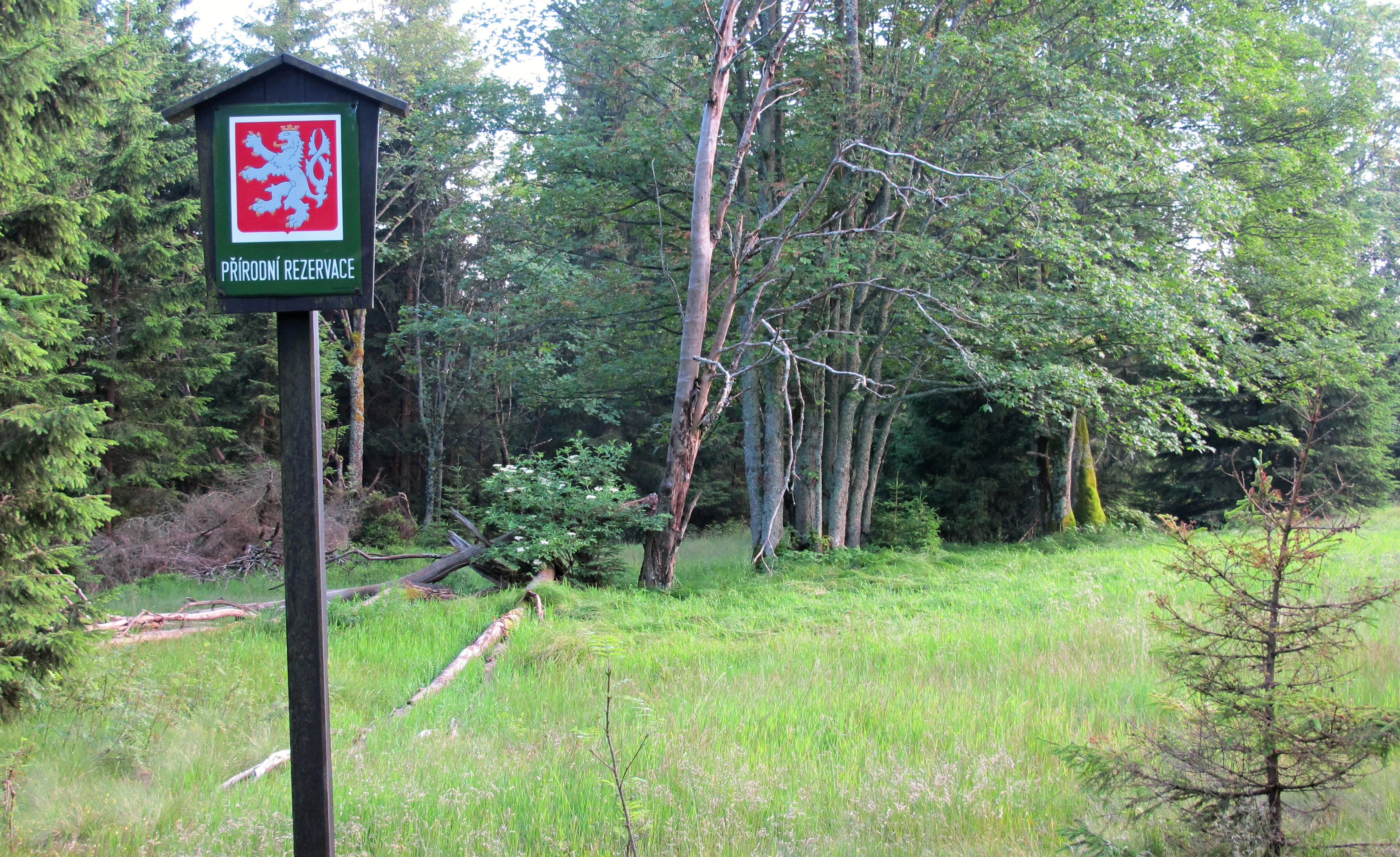 A green sign with the Czech lion emblem marking a nature reserve, mounted on a post in a meadow bordering a forest.