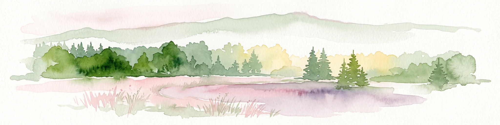 Una pintura horizontal en acuarela que representa un paisaje suave y atmosférico con un primer plano de hierbas de humedal en tonos púrpura y rosa, un plano medio de árboles coníferos verdes dispersos y siluetas lejanas y brumosas de montañas al fondo.