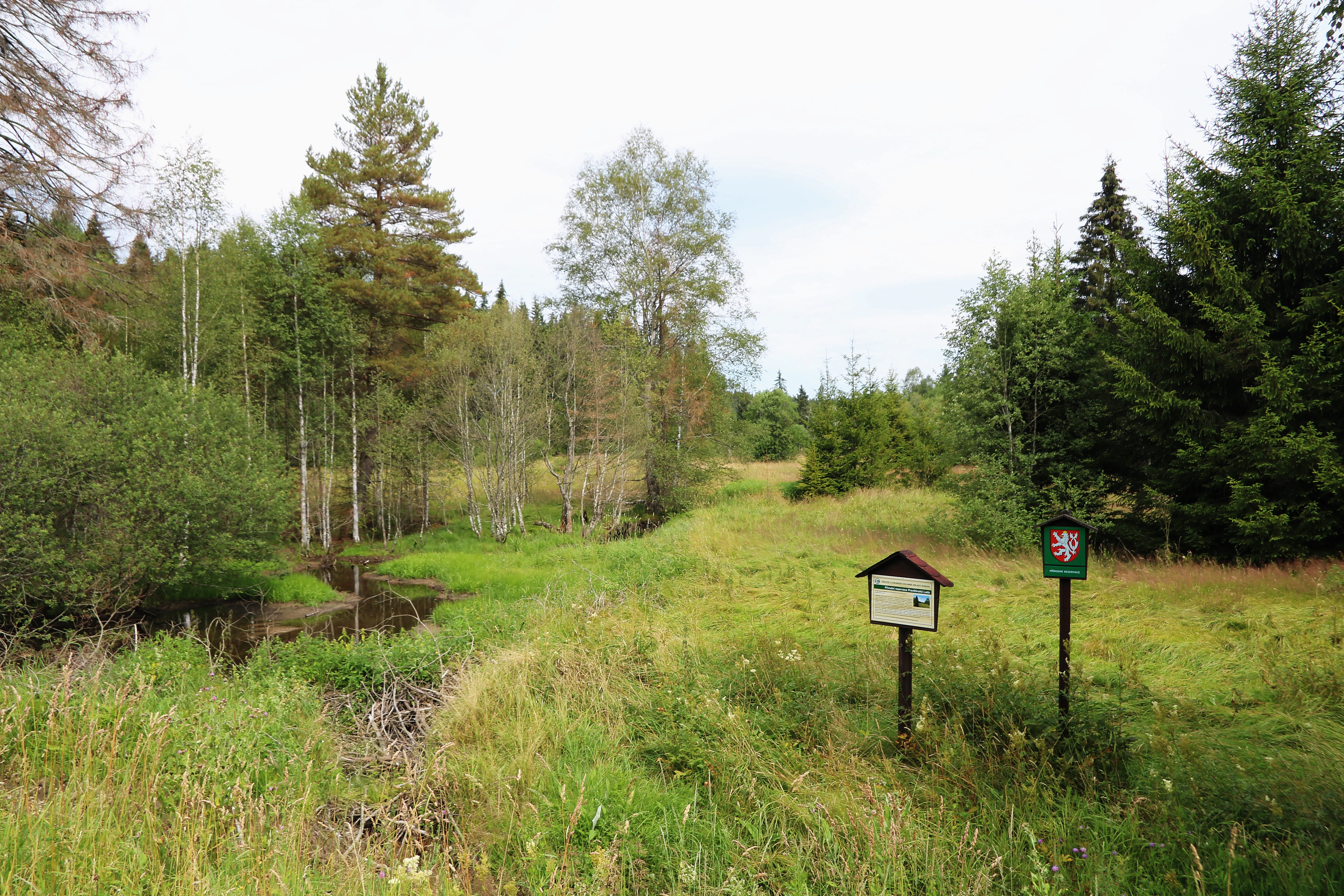 A meadow landscape in Pravětínská Lada nature reserve with a small stream, dense forest edges, and two park signs indicating a protected area.