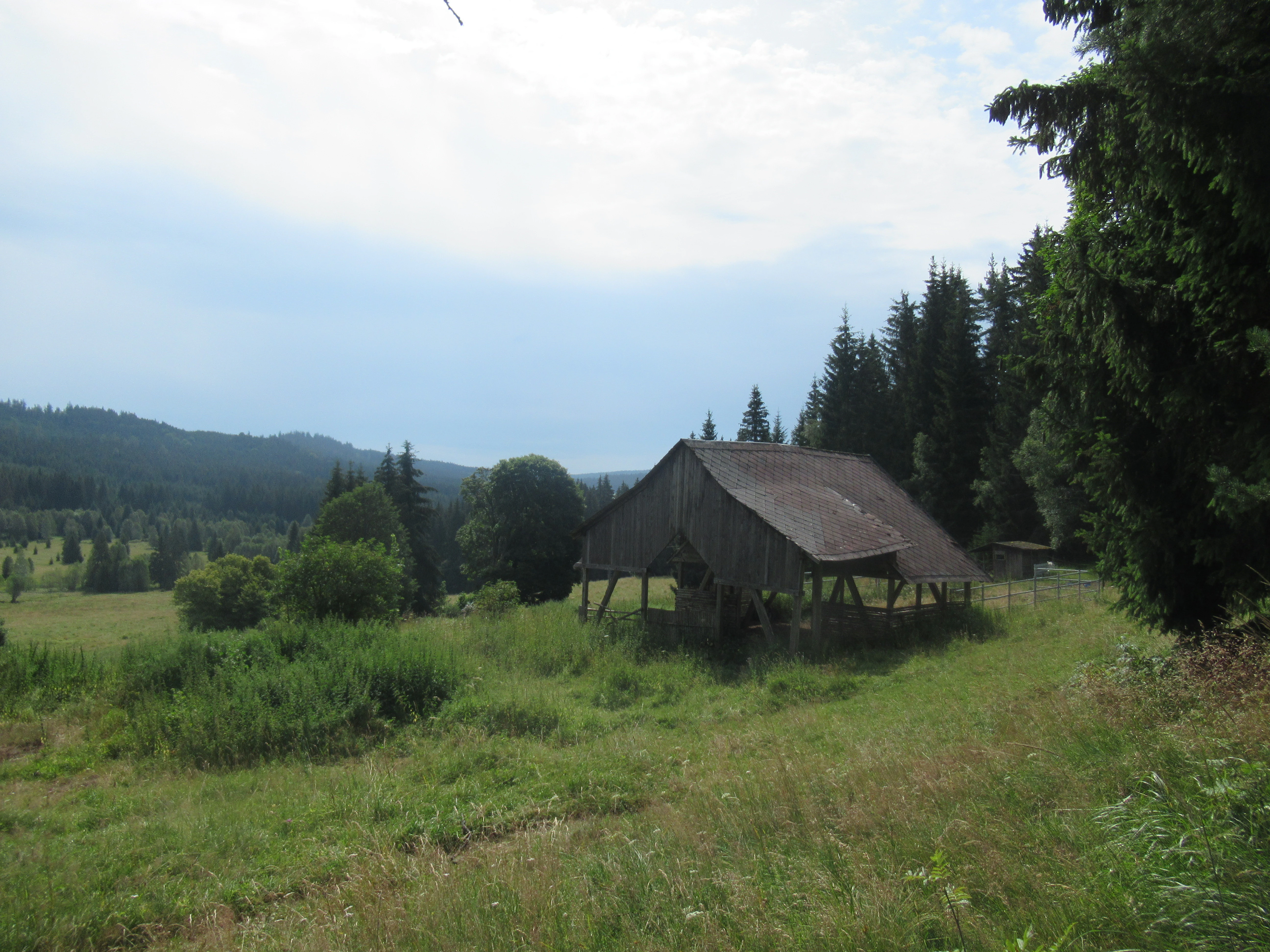 A weathered wooden barn sits in a grassy meadow, with a coniferous forest and rolling hills in the background under a pale, cloudy sky.