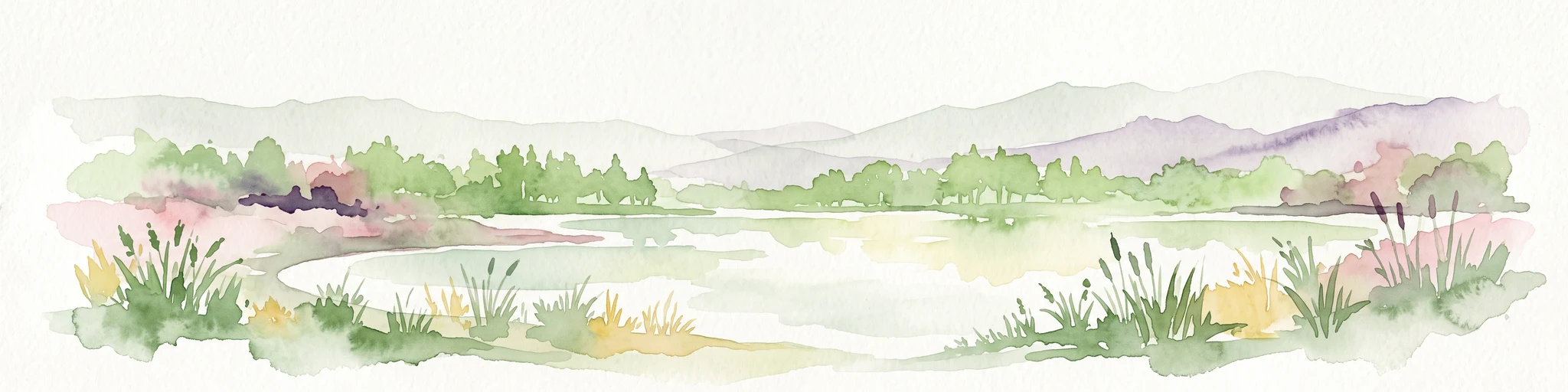A watercolor painting showing a calm lake or pond surrounded by wetland vegetation, tall grasses, and distant rolling hills.