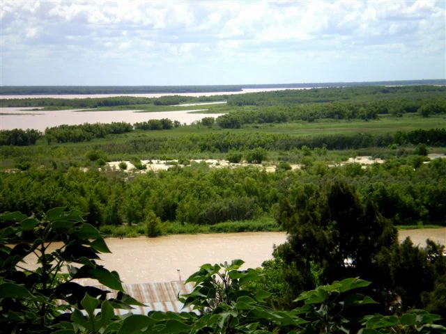 Amplio paisaje del río Paraná con aguas turbias, densos bosques verdes y horizonte lejano bajo un cielo parcialmente nublado