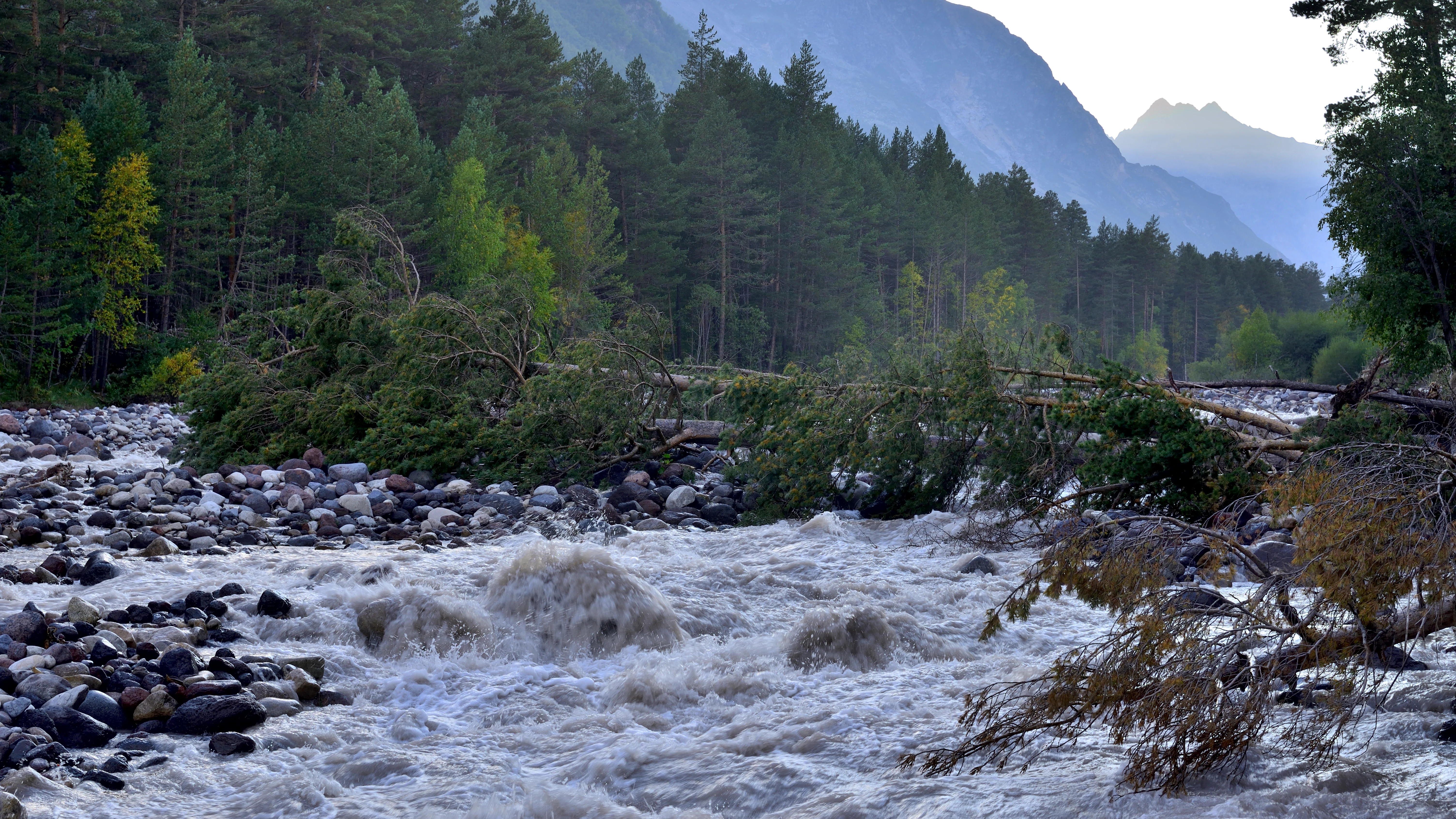 Turbulent river flowing through rocky riverbed with forested mountains in background