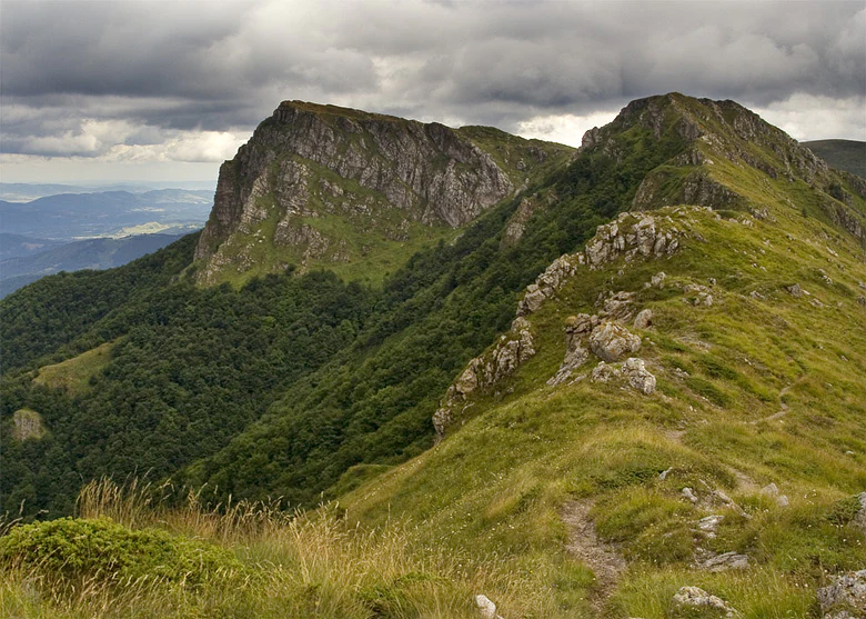 A wide, elevated view of a mountain ridge covered in green grass and scattered rocks, with dense green forest on the slopes and dramatic storm clouds above.