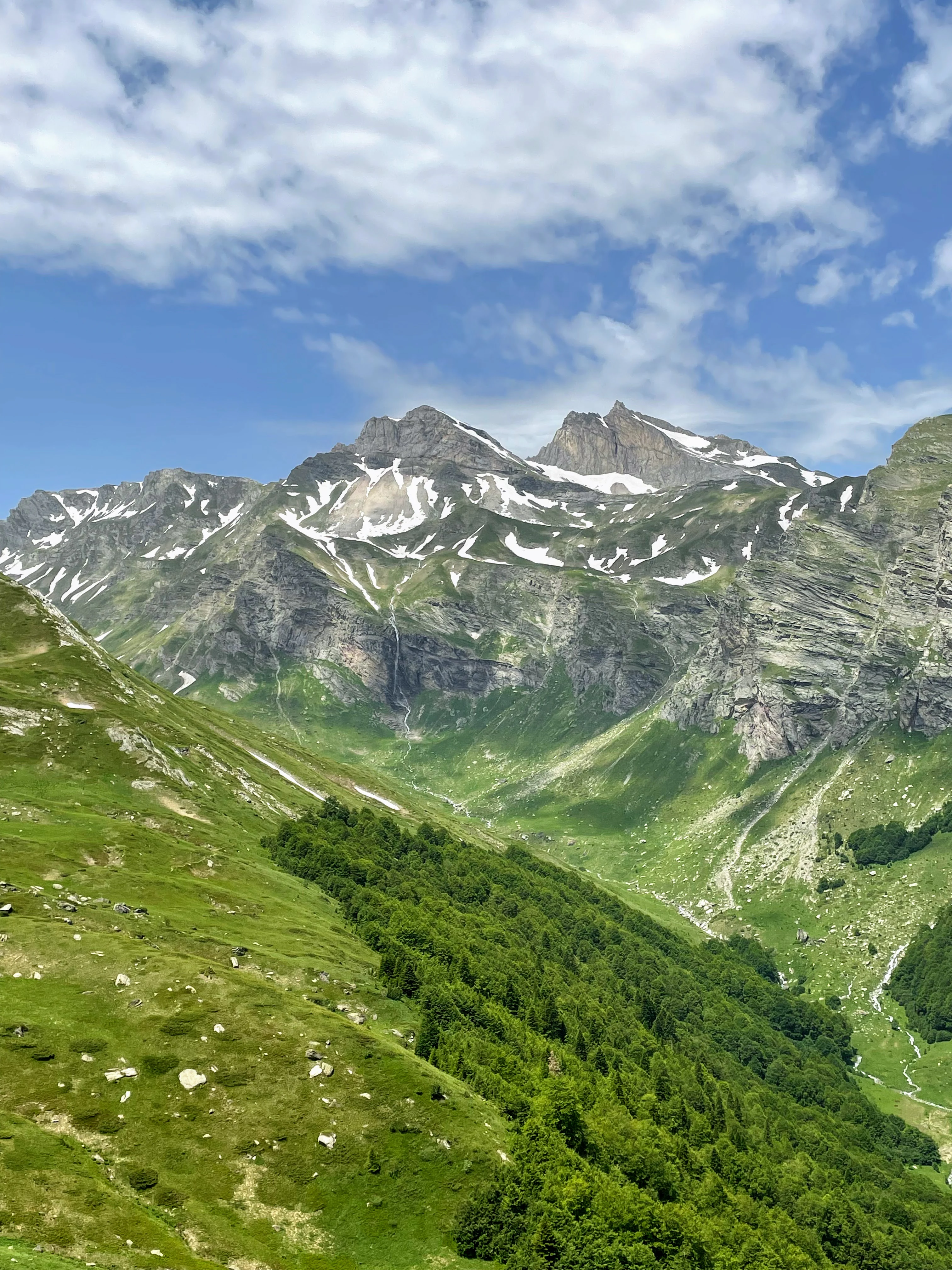 A wide, vertical shot of a lush green mountain valley with snowy peaks in the background under a blue, partly cloudy sky.