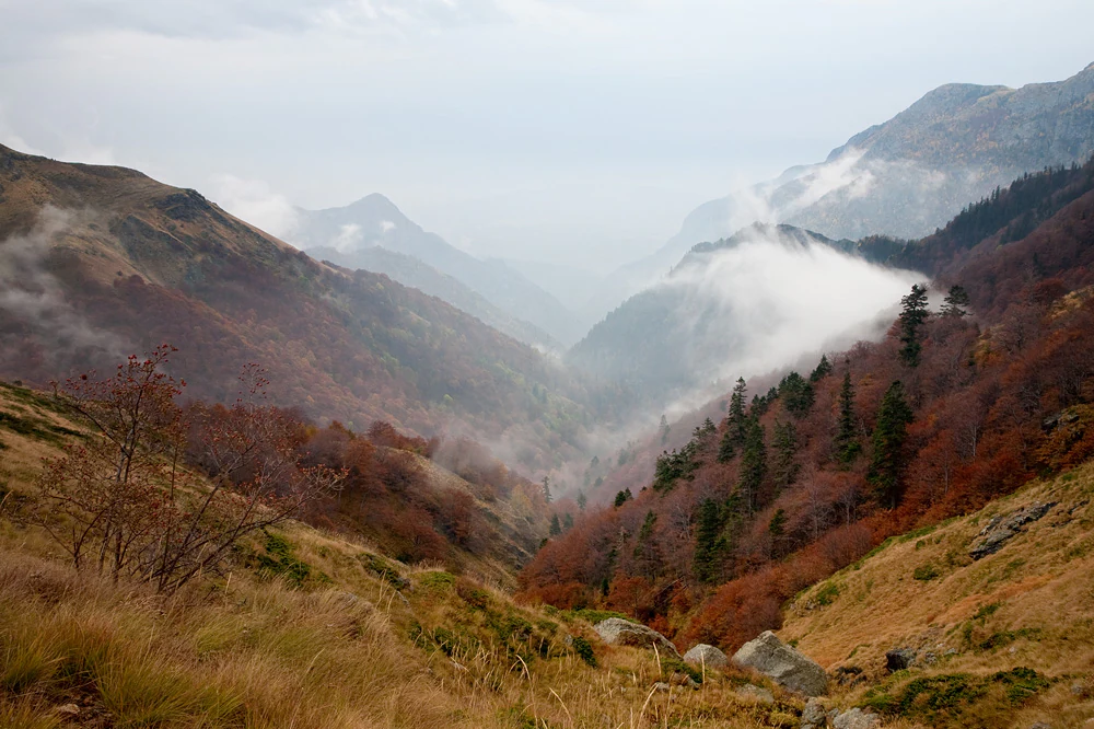 A wide mountain valley in autumn with slopes covered in reddish and brown trees, patches of grass, and low-hanging clouds obscuring the distant ridges.