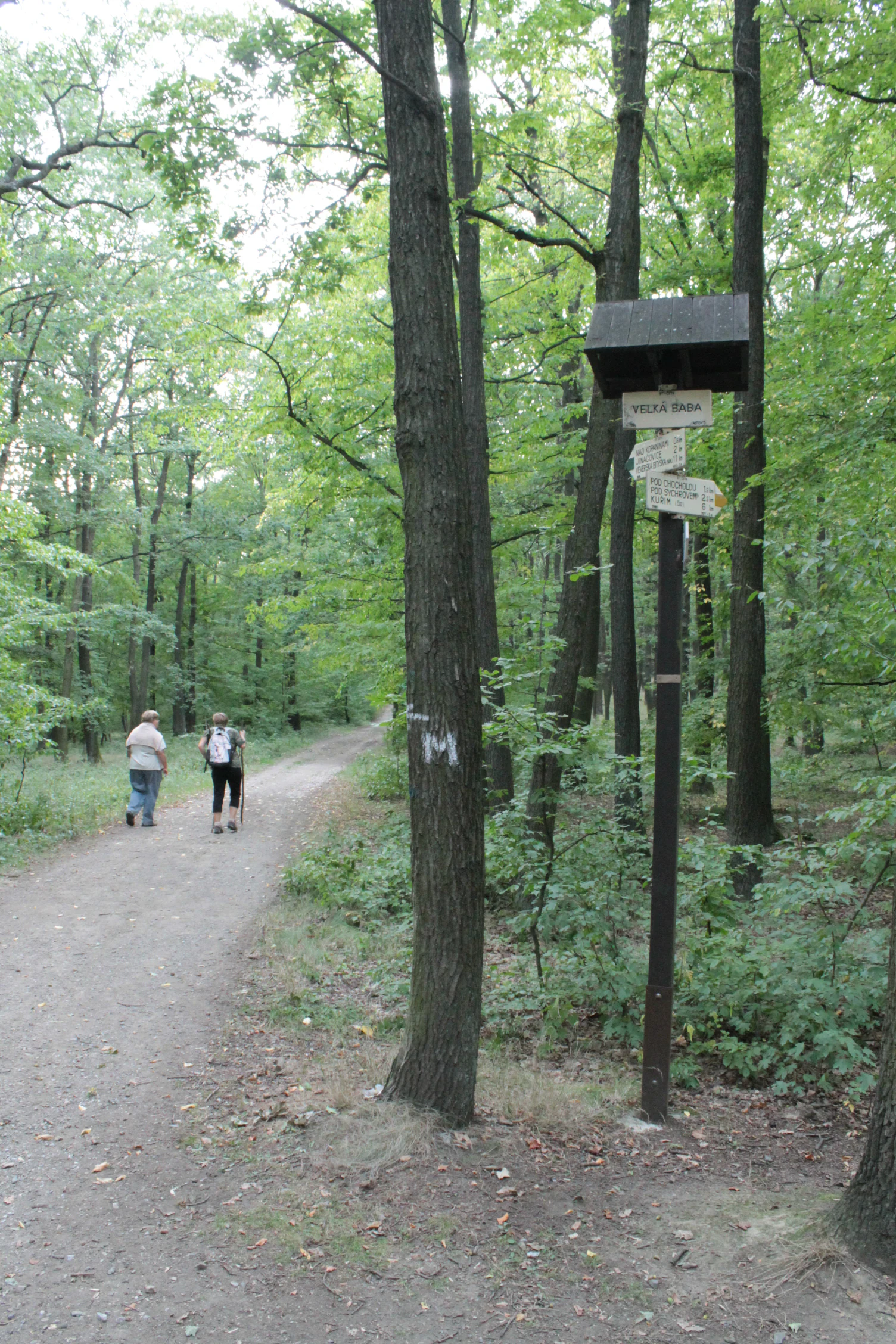 A wooden hiking trail marker post with multiple signs stands at the edge of a dirt forest path, with two hikers walking away in the distance.
