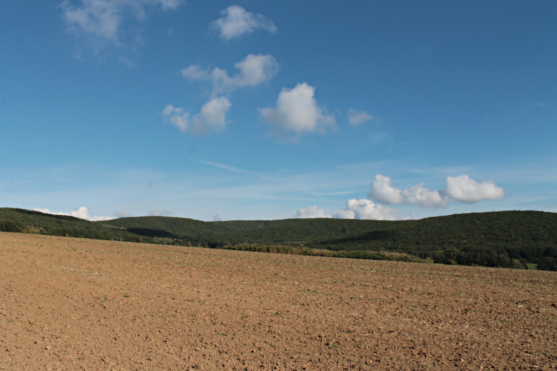 A wide shot showing a large, freshly plowed brown field in the foreground, leading up to rolling, dark-green forested hills under a clear blue sky with light clouds.
