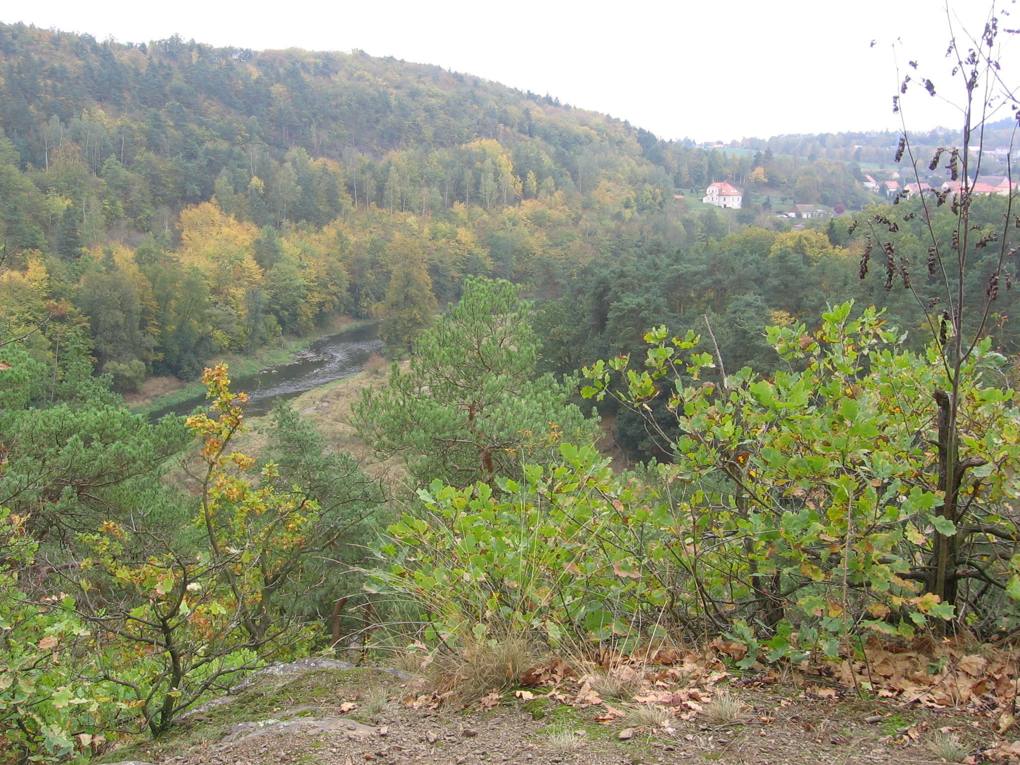 A high angle view of a river valley with forested slopes showing autumn foliage, with a small building visible in the distant hillside.