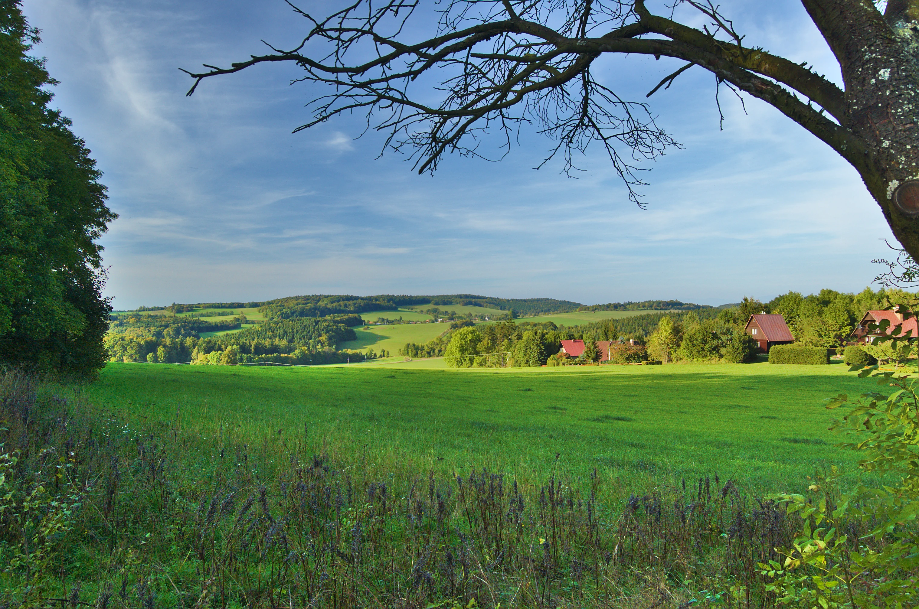 A wide view of a vibrant green meadow and forested rolling hills in the background, framed by tree branches in the foreground under a partly cloudy blue sky.